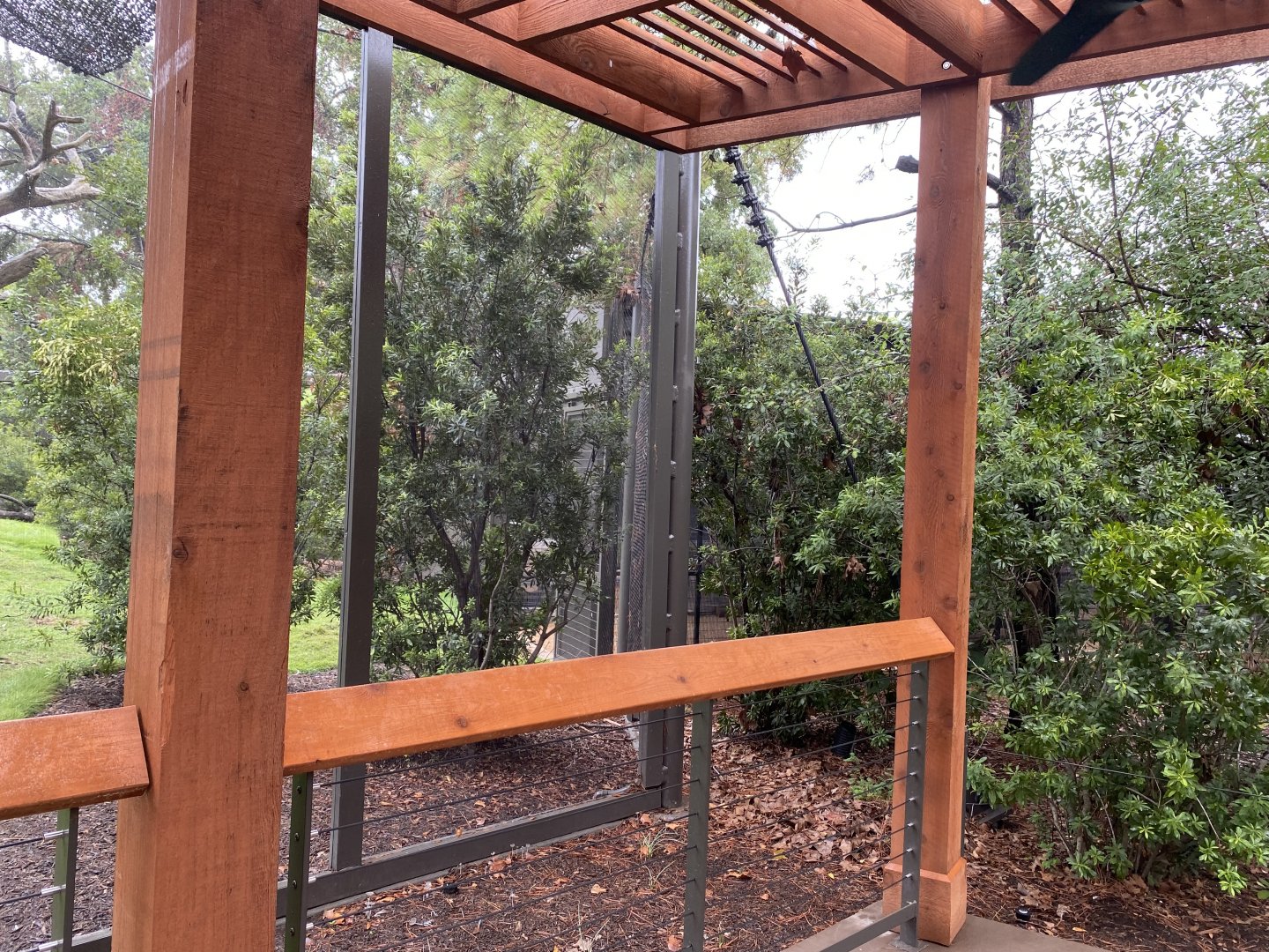 Africa and North America Shared Viewing Area