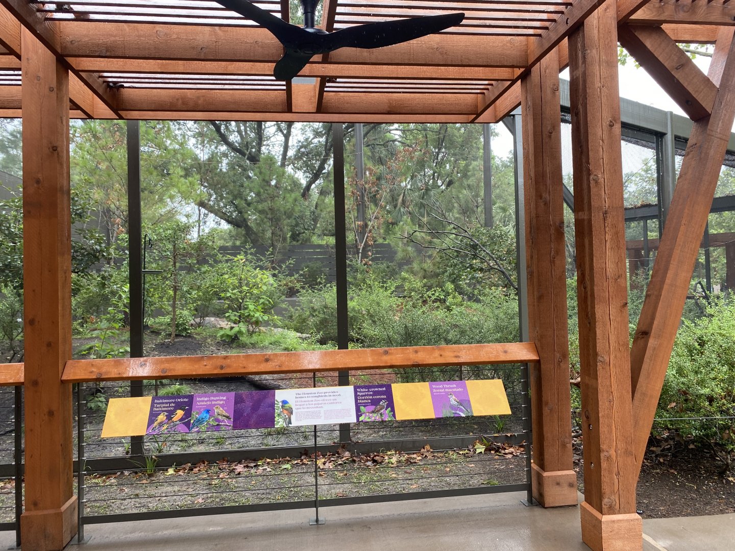 Africa and North America Shared Viewing Area