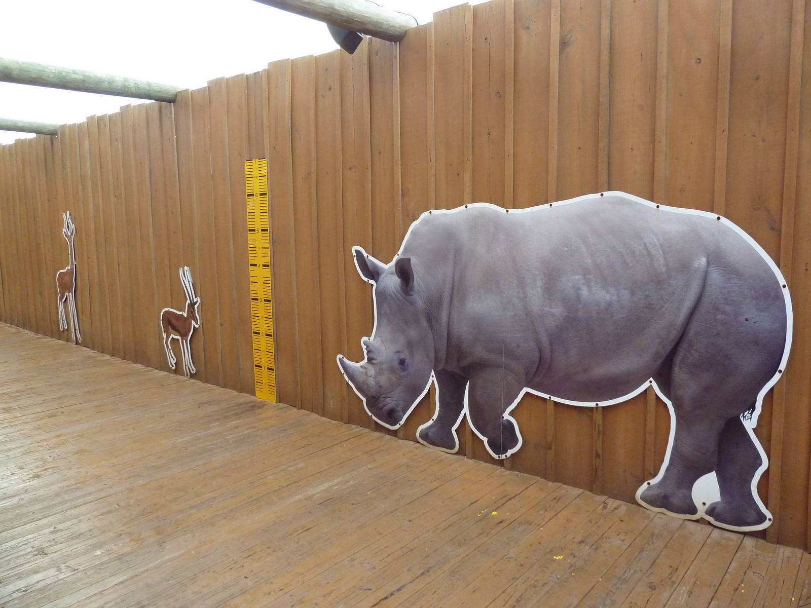 Africa! - Animal Signs