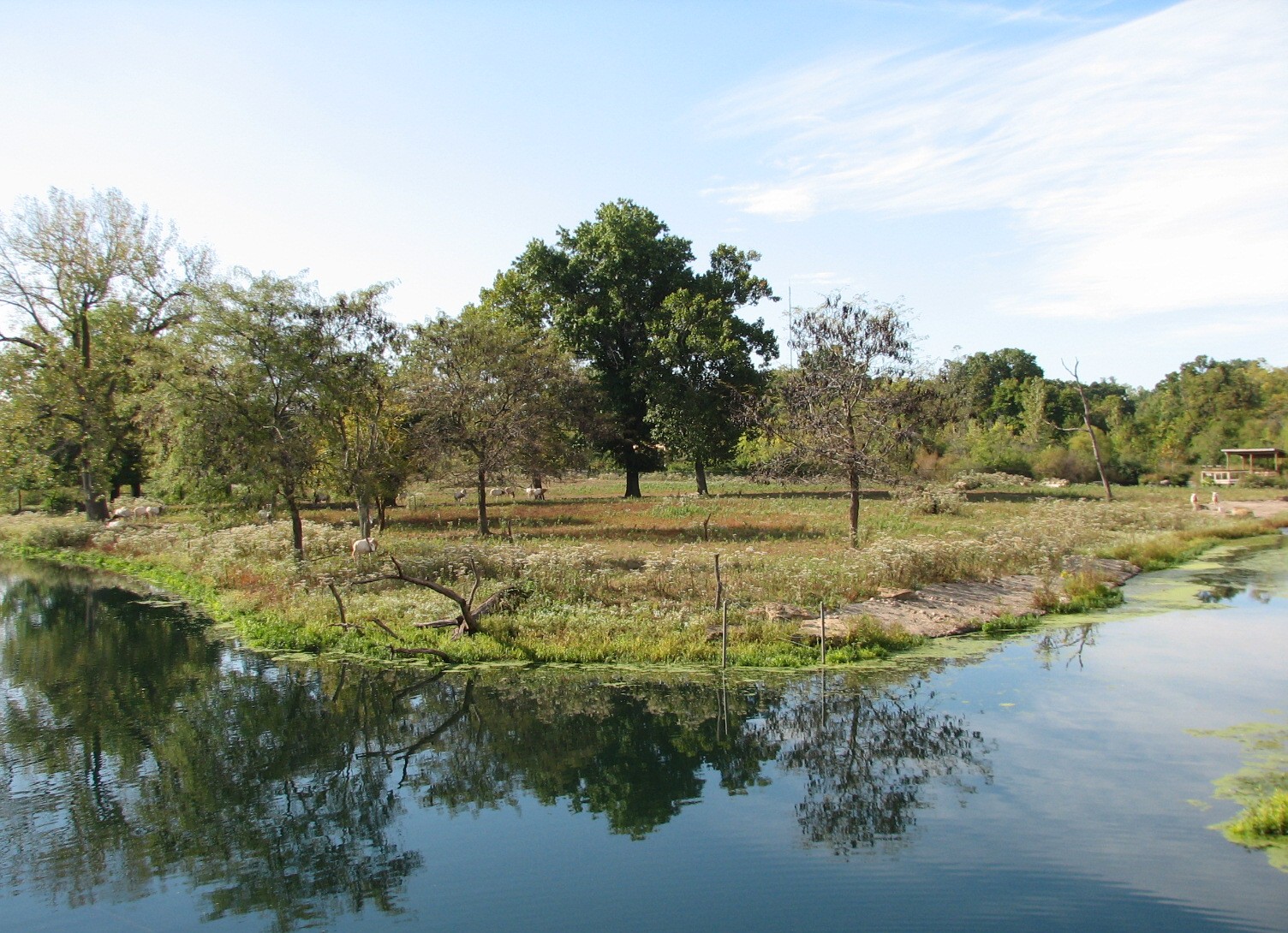 Africa - Antelope Exhibit