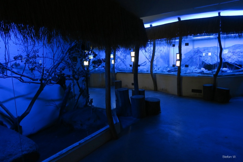 Africa at night in blue