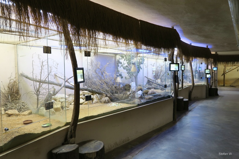 Africa at night (in the early morning)