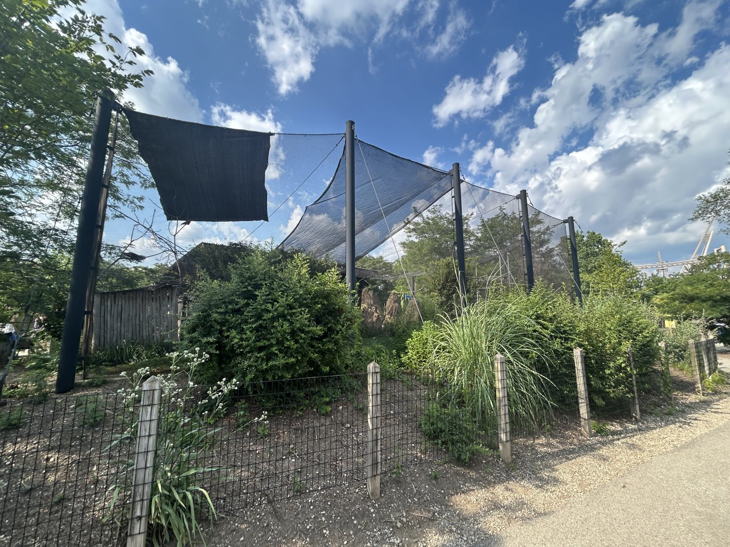 Africa Aviary (3 Species) - Plains