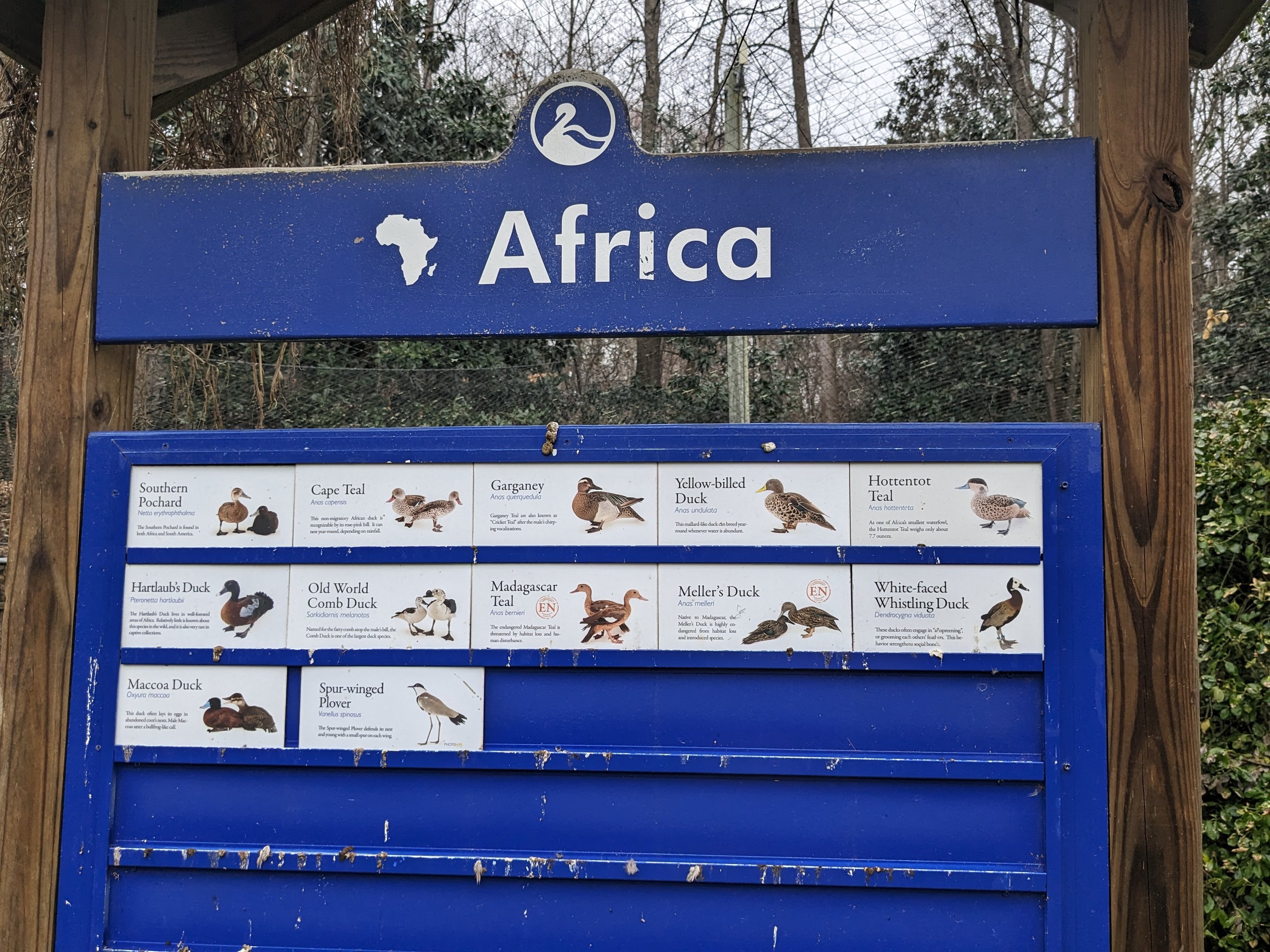 Africa Aviary signage