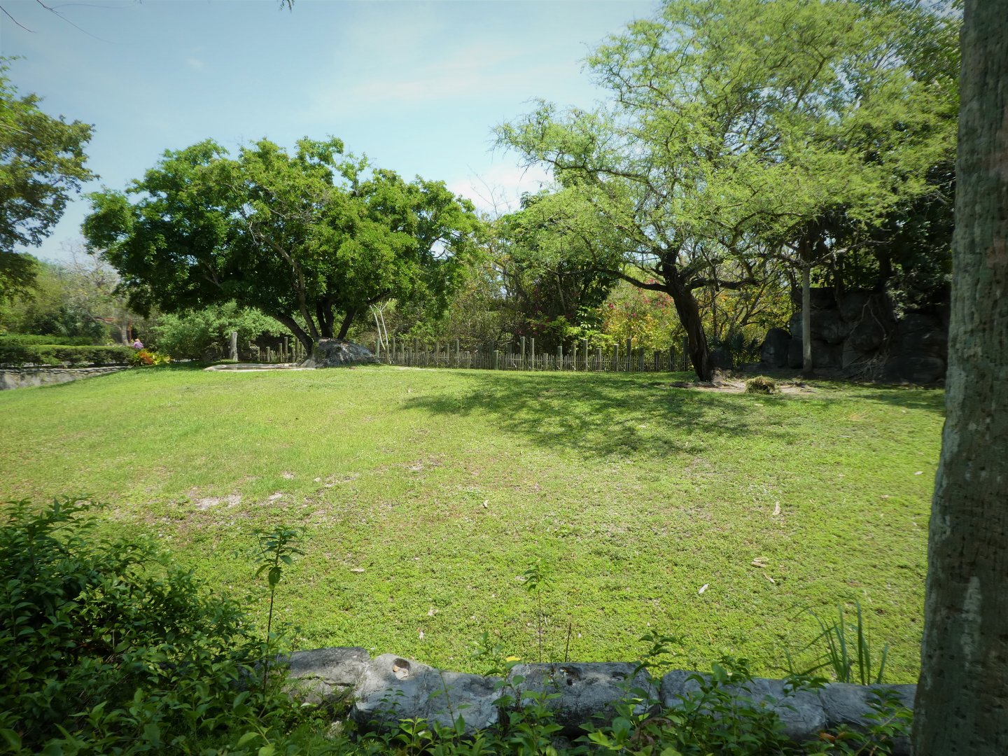 Africa - Black Duiker, Okapi, African Spurred Tortoise Exhibit