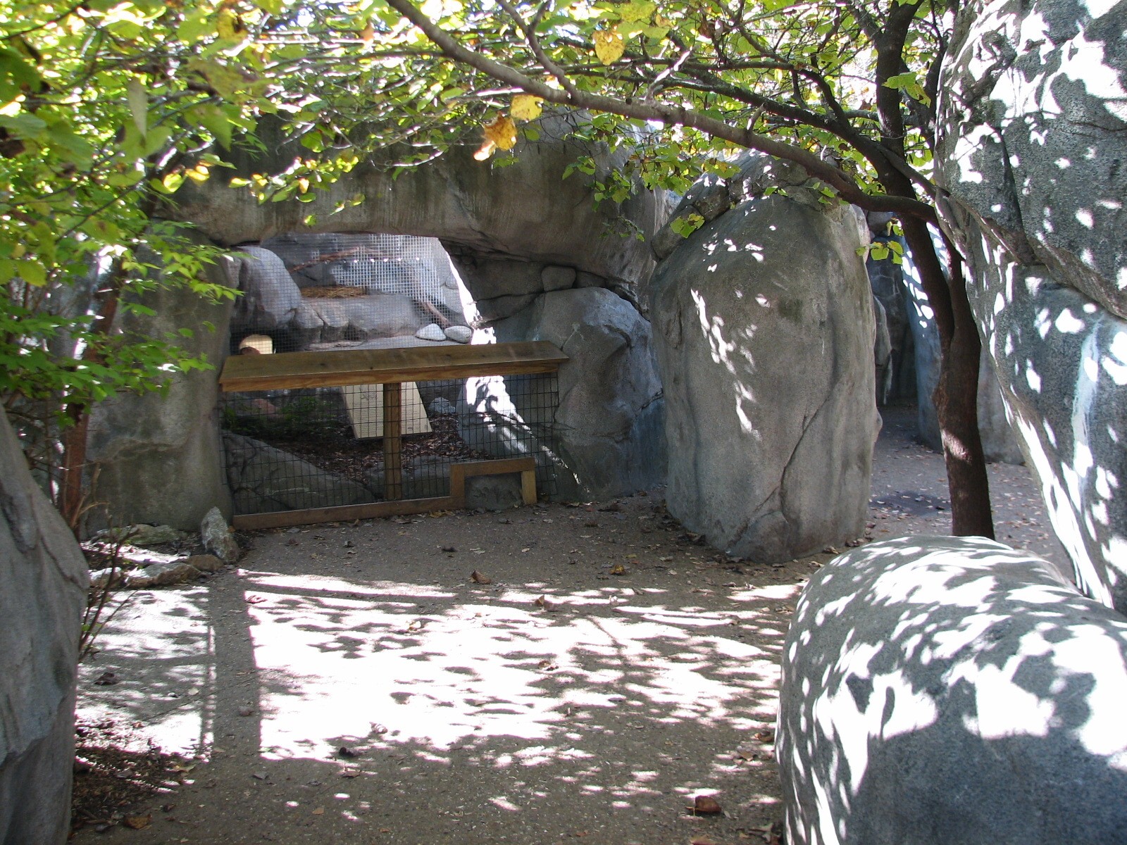 Africa - Black Footed Cat Exhibit