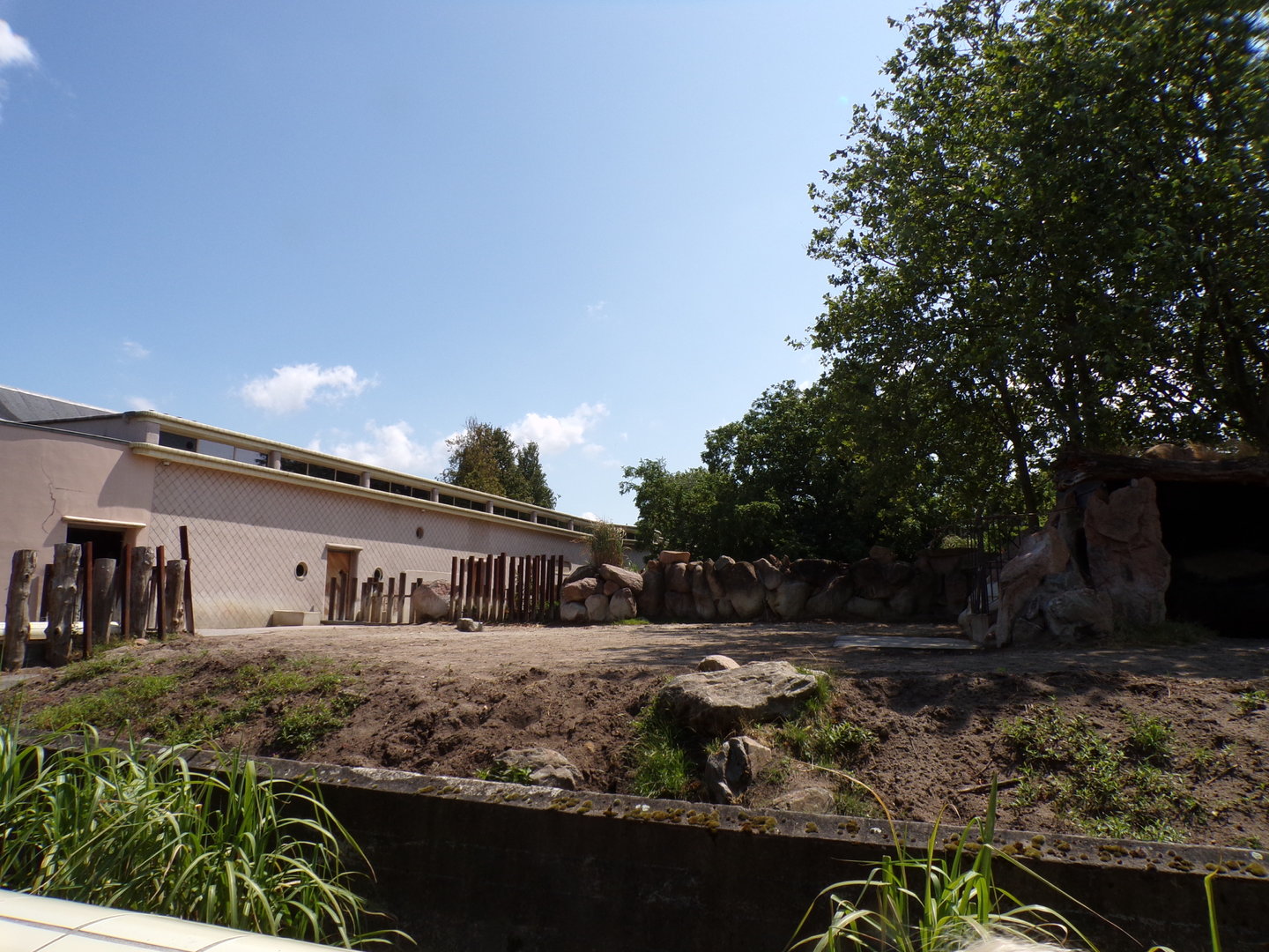 Africa- Black rhino enclosure 13.7.23