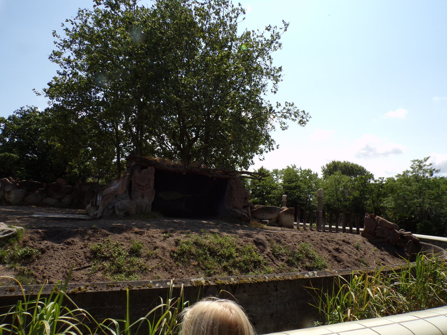 Africa- Black rhino enclosure 13.7.23