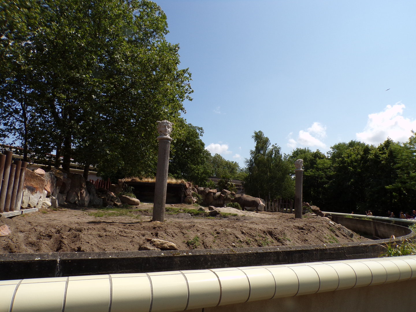 Africa- Black rhino enclosure 13.7.23