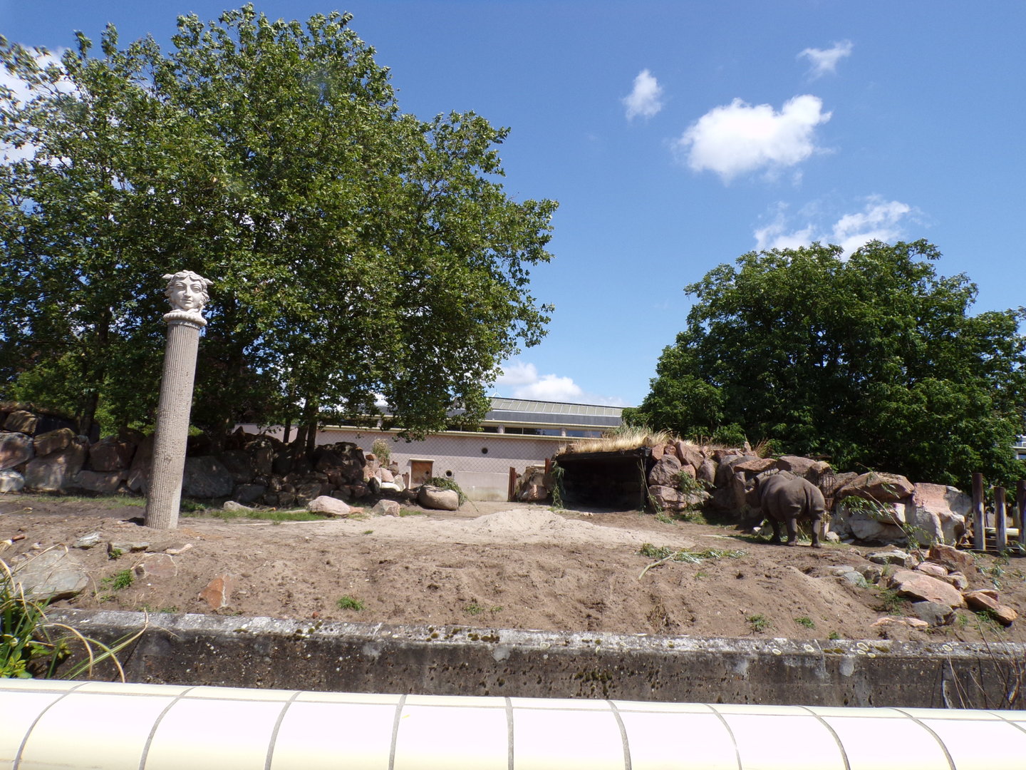 Africa- Black rhino enclosure 13.7.23