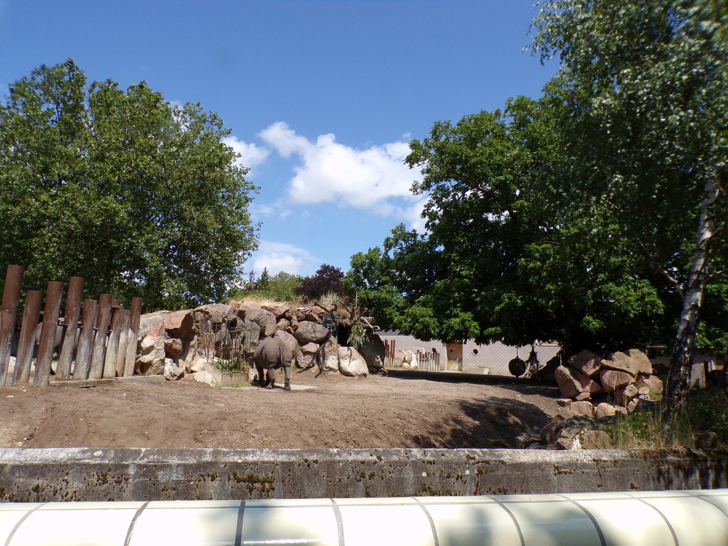 Africa- Black rhino enclosure 13.7.23