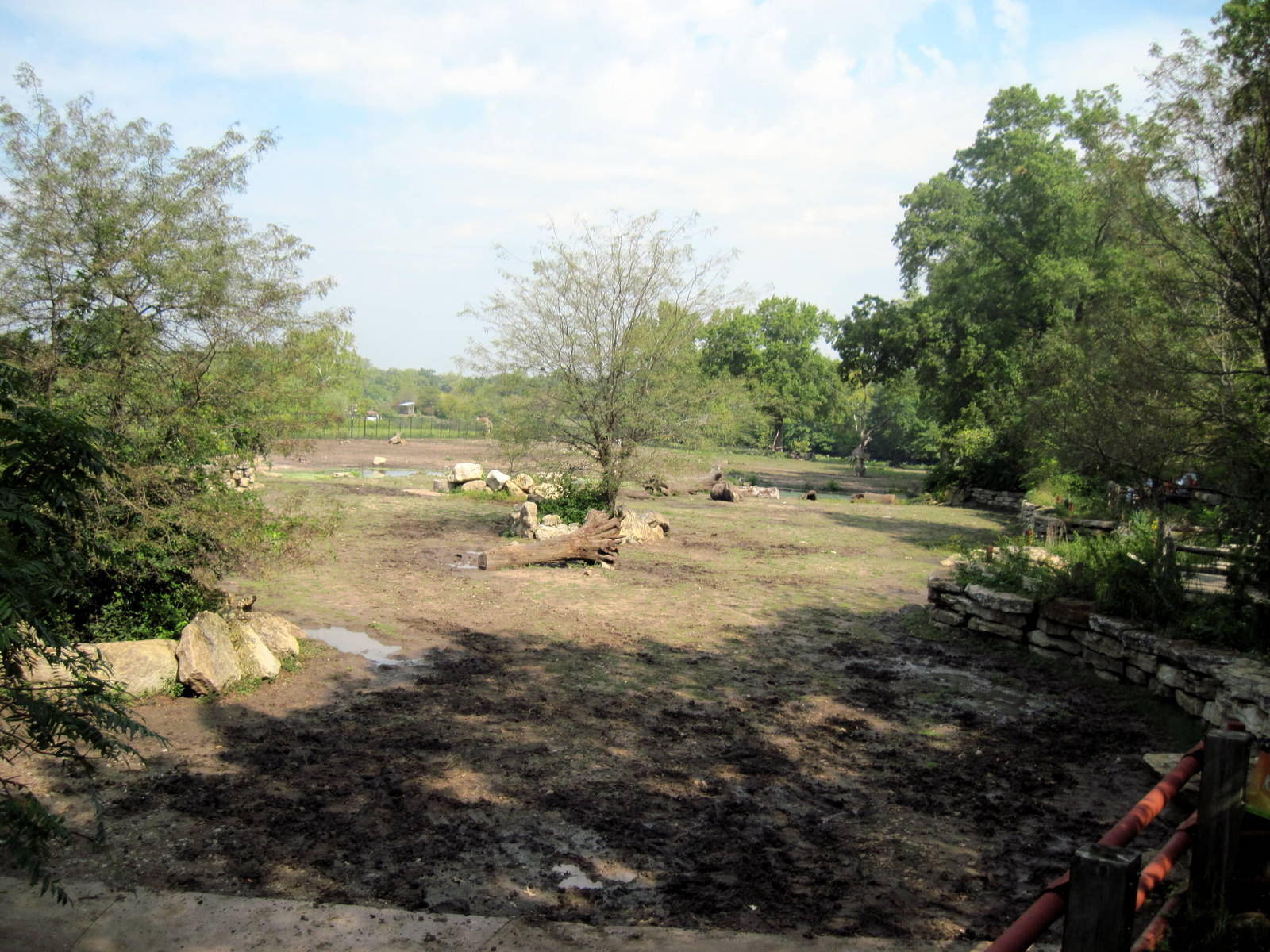 Africa-Black Rhinoceros Exhibit