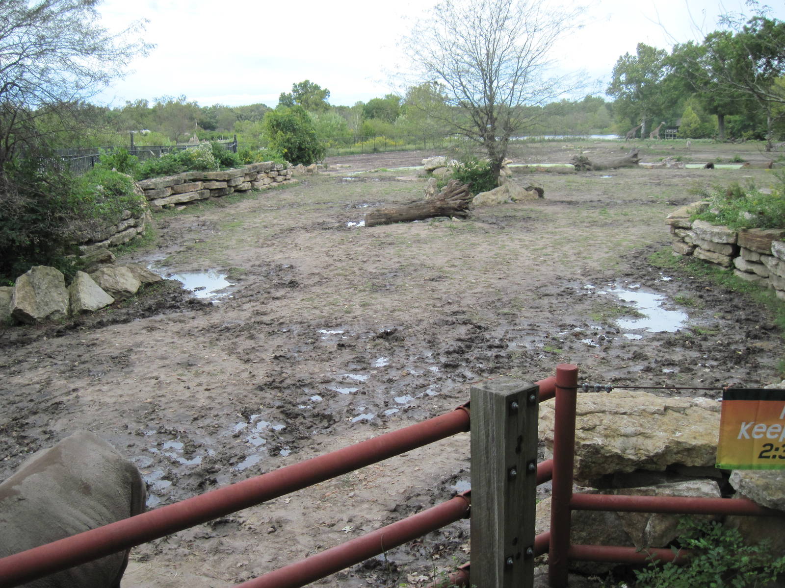 Africa-Black Rhinoceros Exhibit