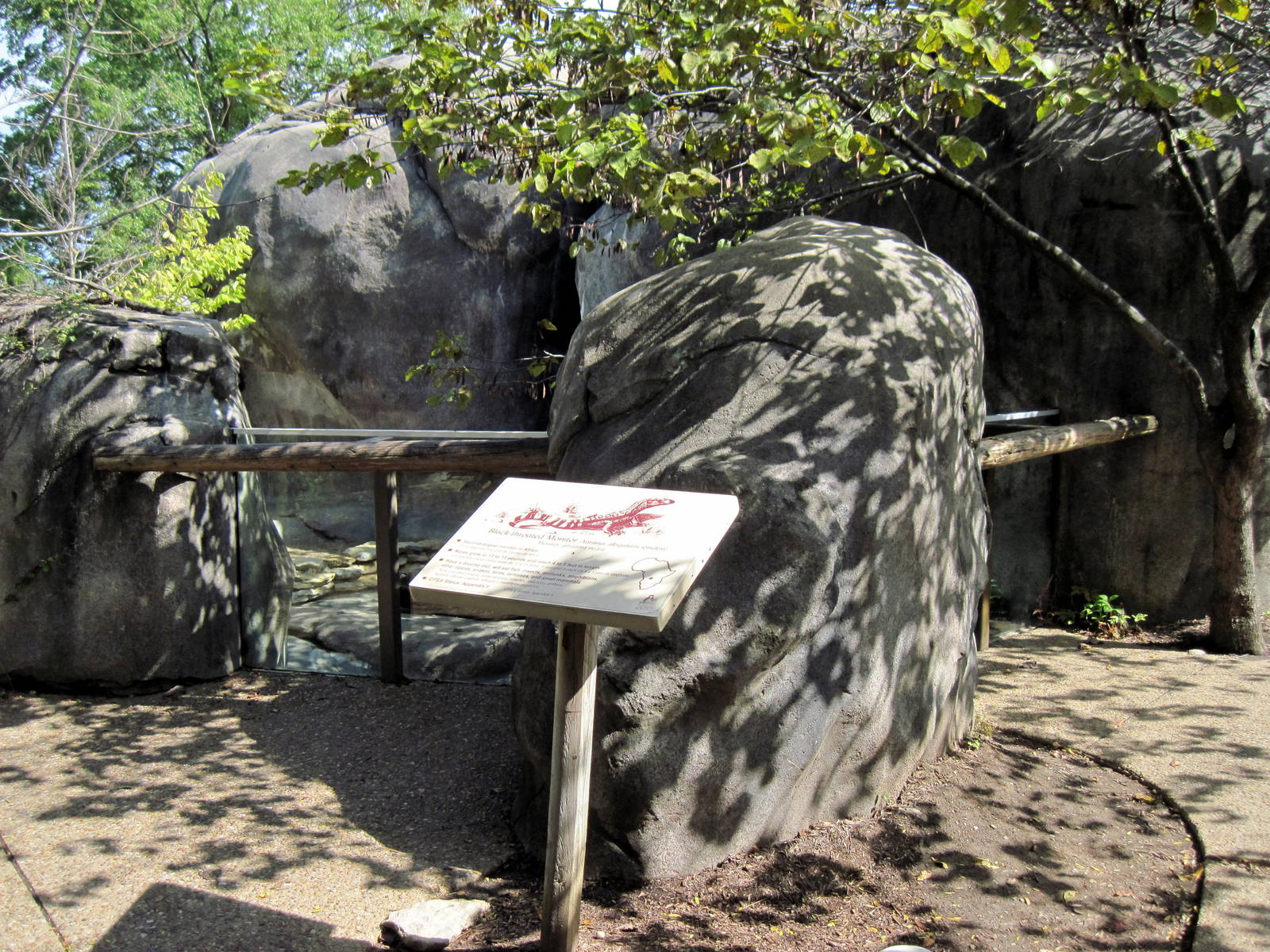 Africa-Black-throated Monitor Exhibit