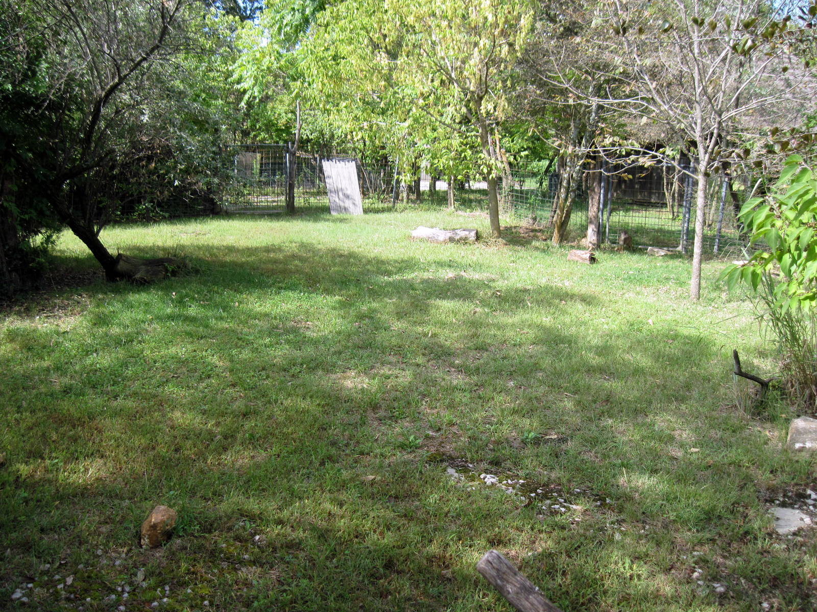 Africa-Blue Duiker Exhibit