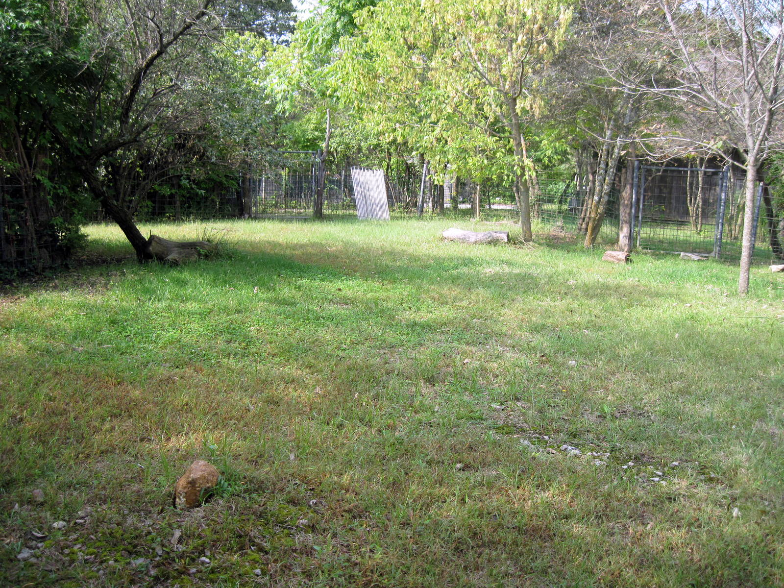 Africa-Blue Duiker Exhibit