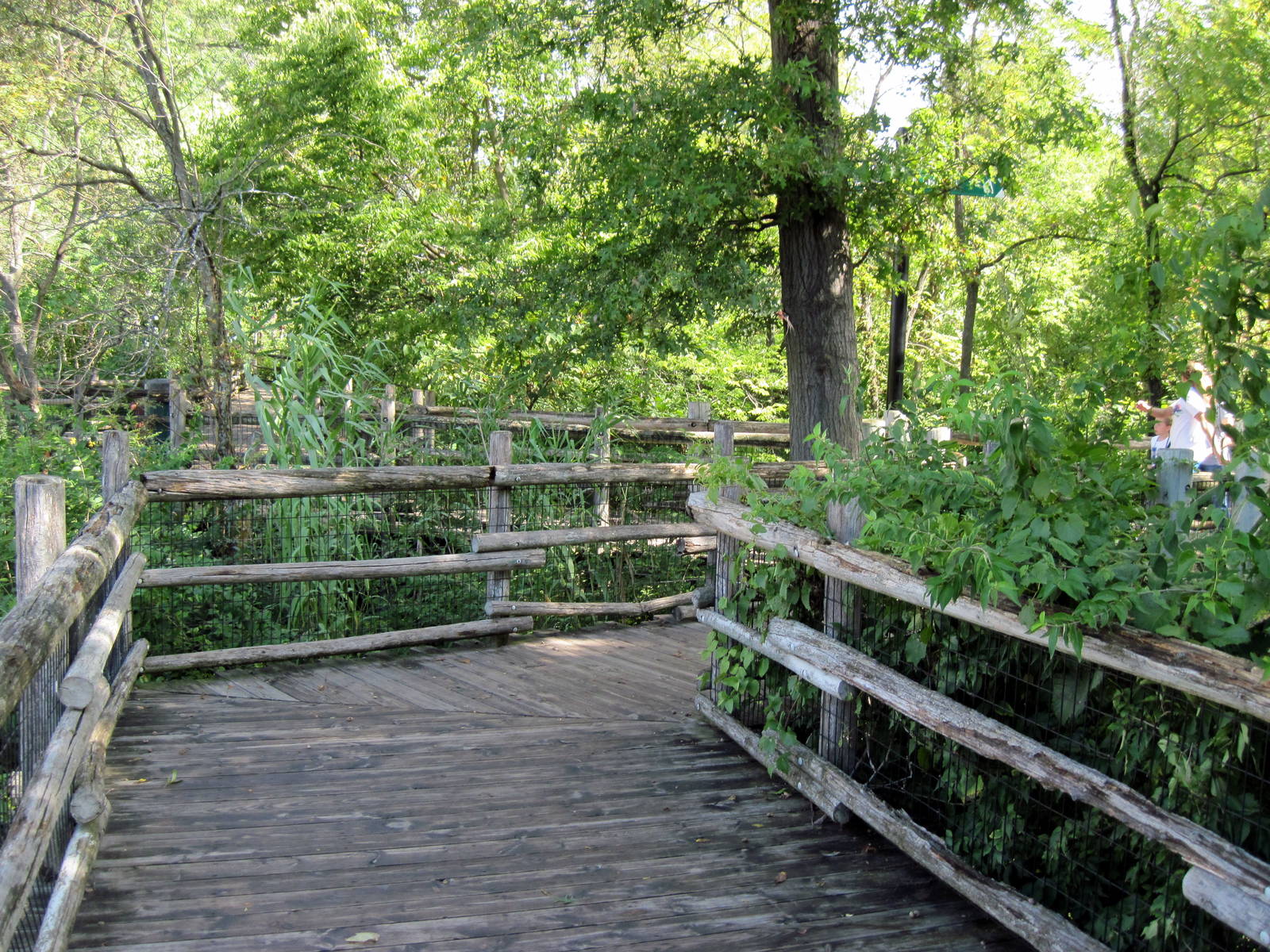 Africa-Boardwalk in Tanzania