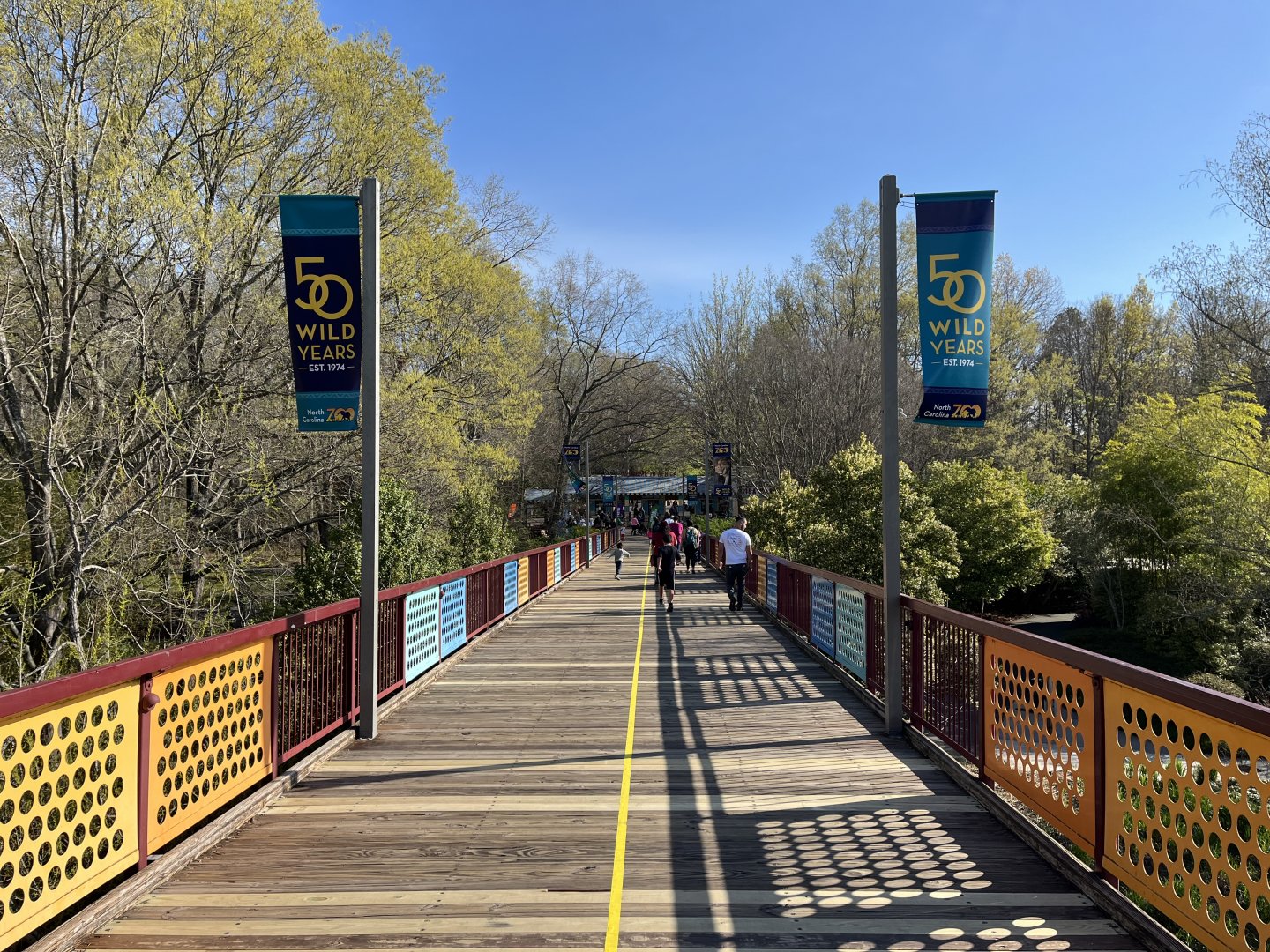 Africa Bridge with anniversary banners