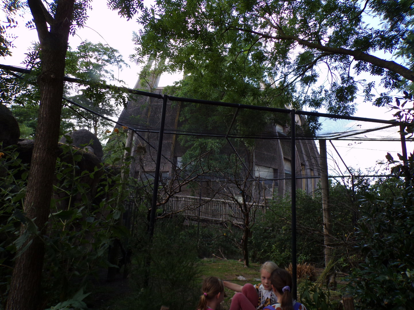 Africa- Cape ground squirrel and mixed bird enc