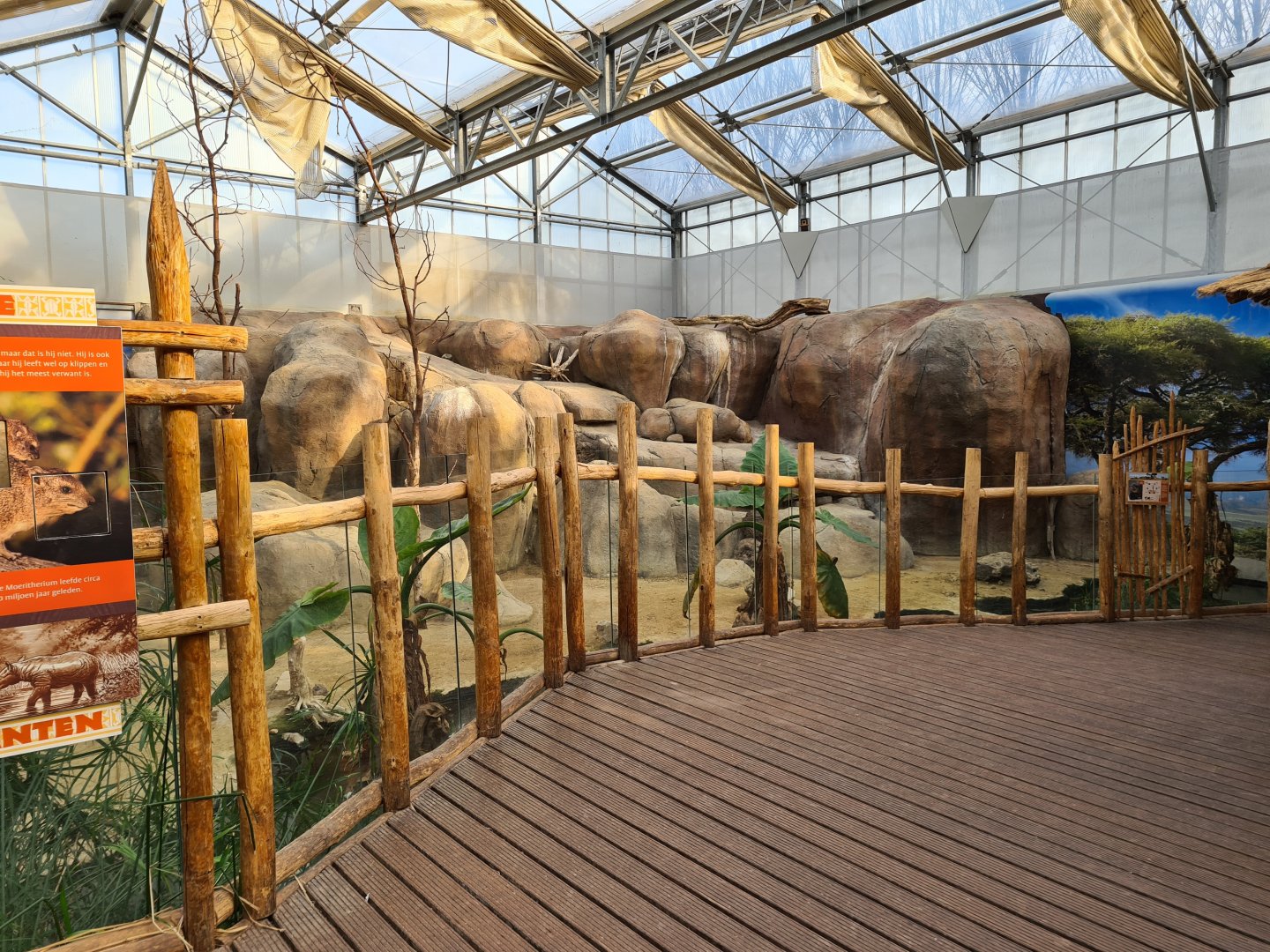Africa - Cape rock hyrax viewing point