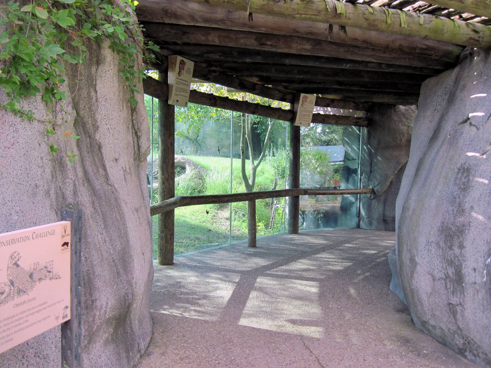 Africa-Cheetah Exhibit Viewing Cave