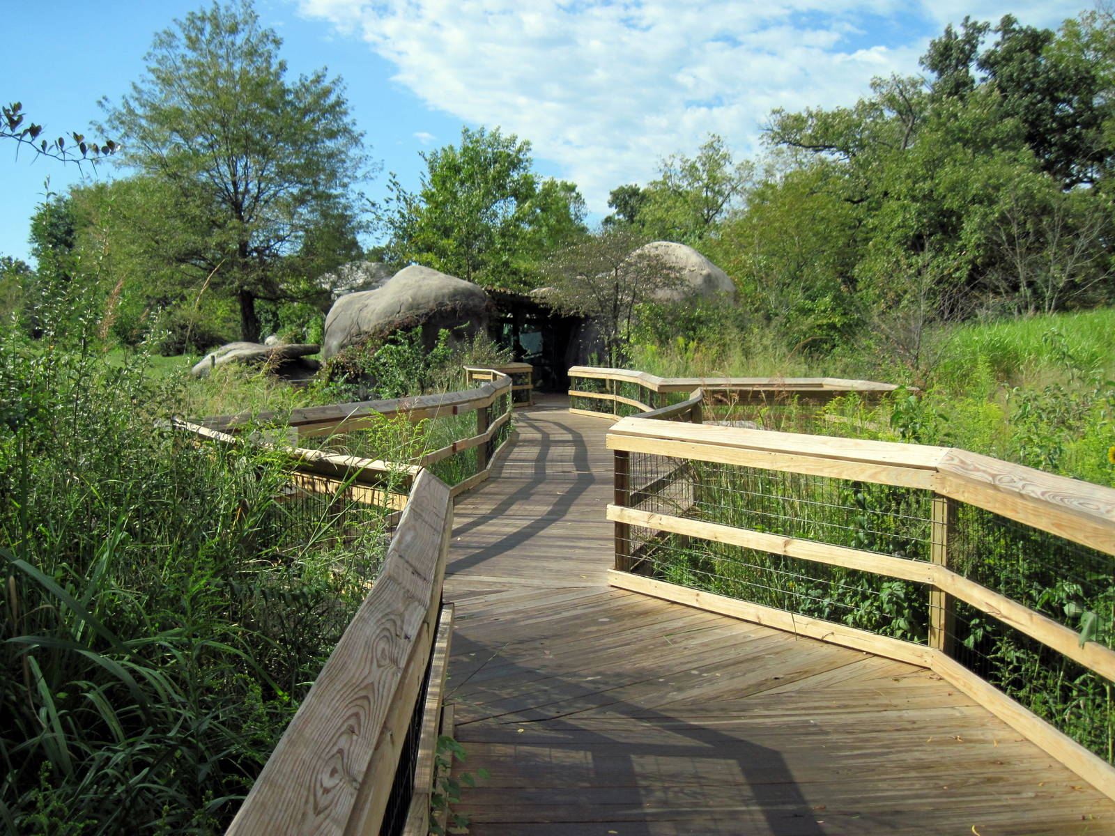 Africa-Cheetah Exhibit Viewing Deck