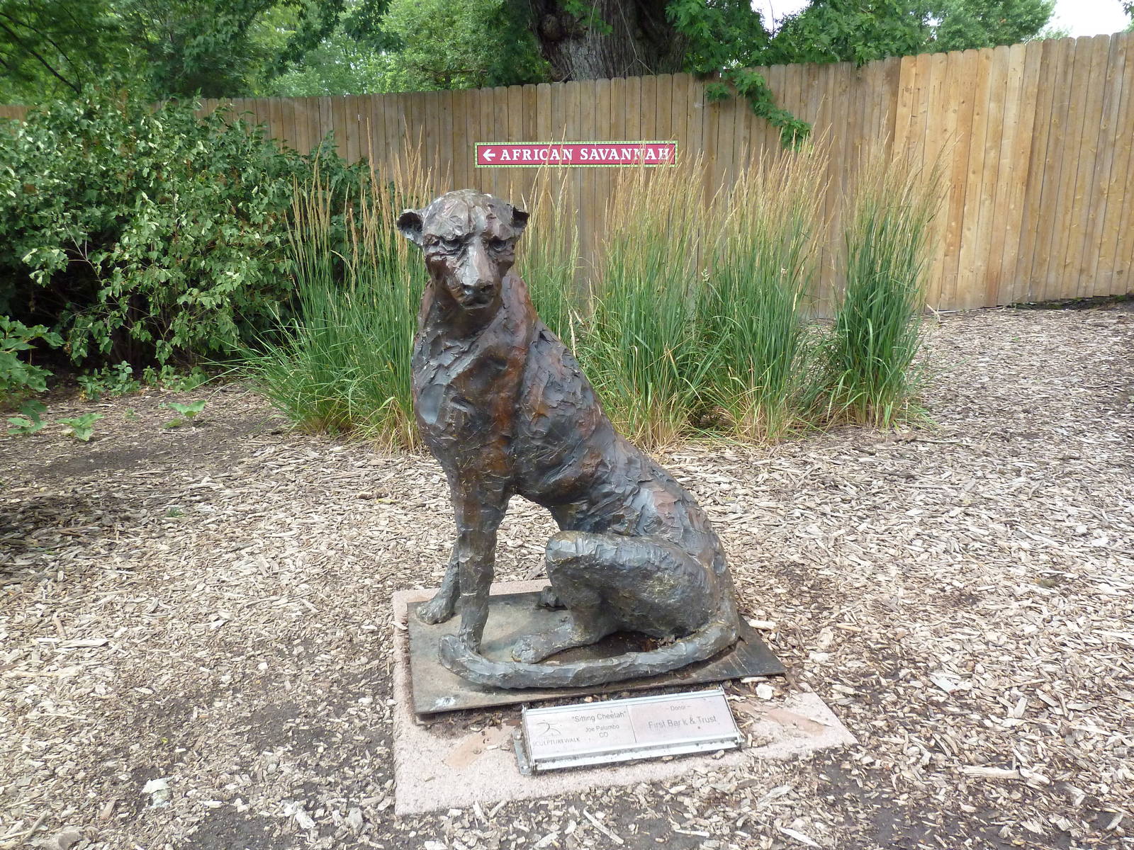 Africa - Cheetah Statue