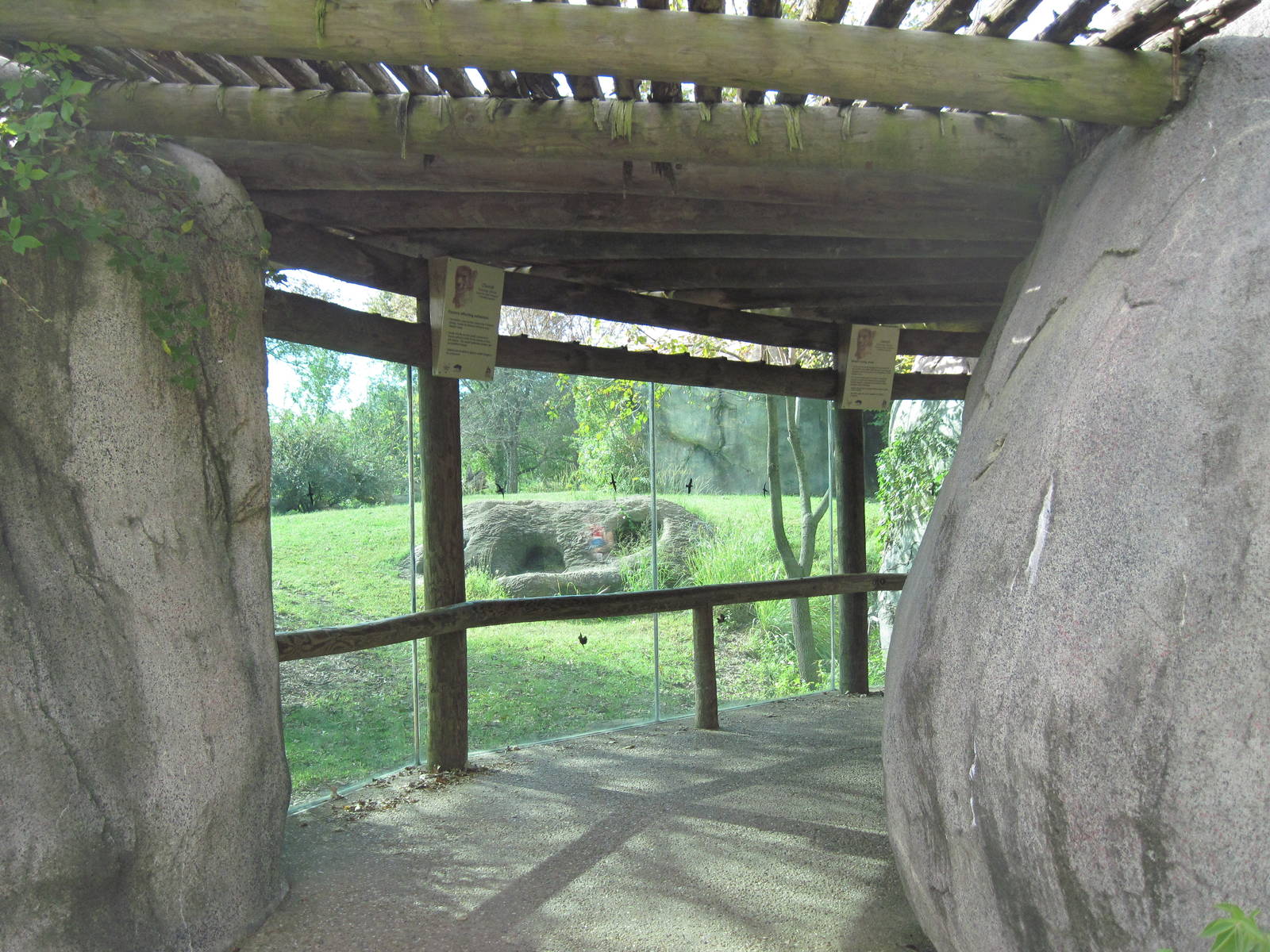 Africa-Cheetah Viewing Shelter