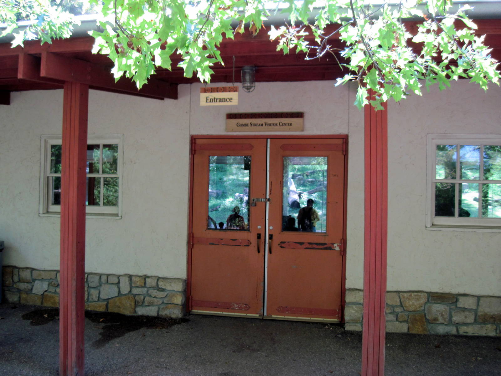 Africa-Chimpanzee Building