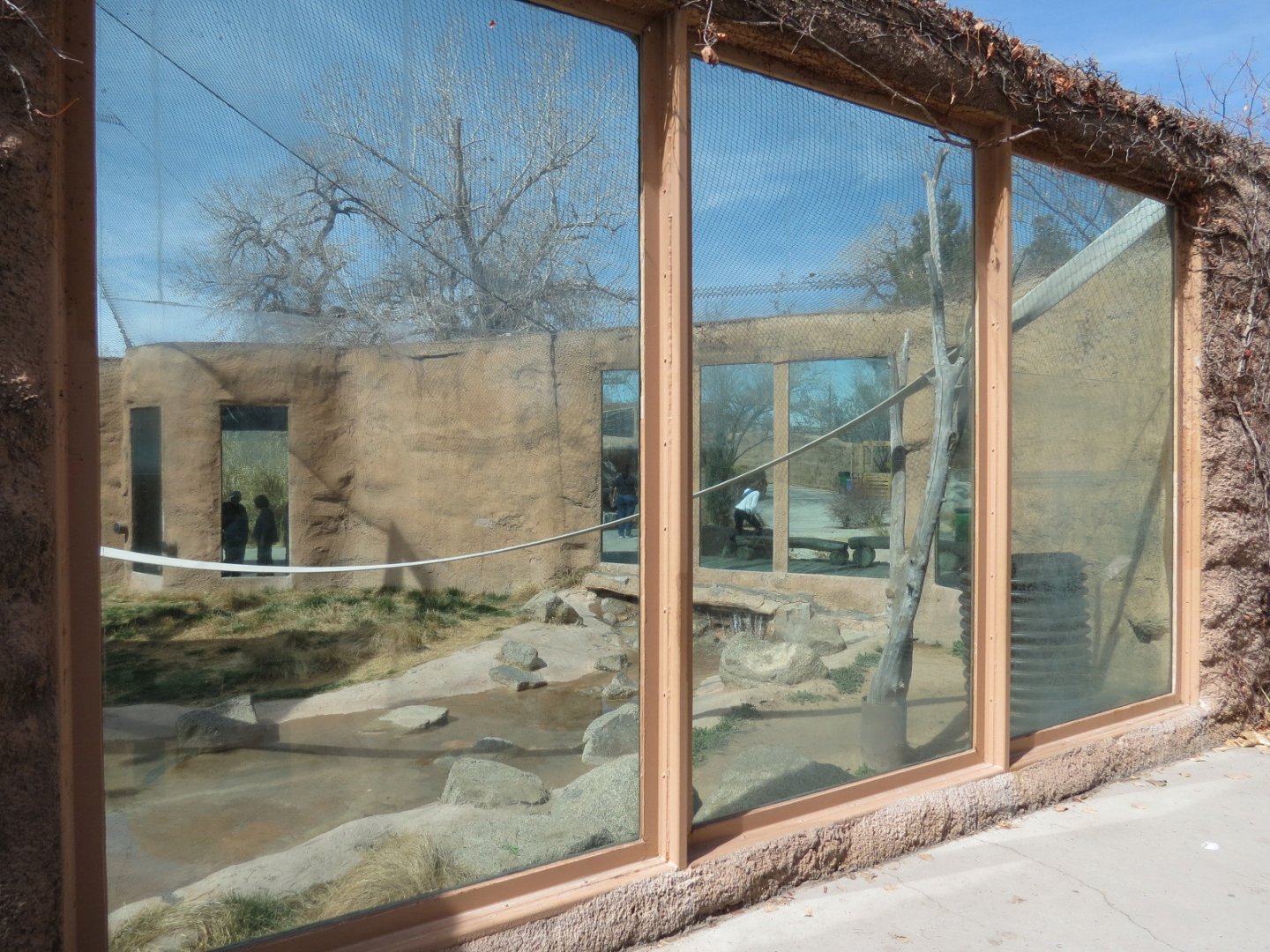 Africa - Chimpanzee Exhibit Viewing Area
