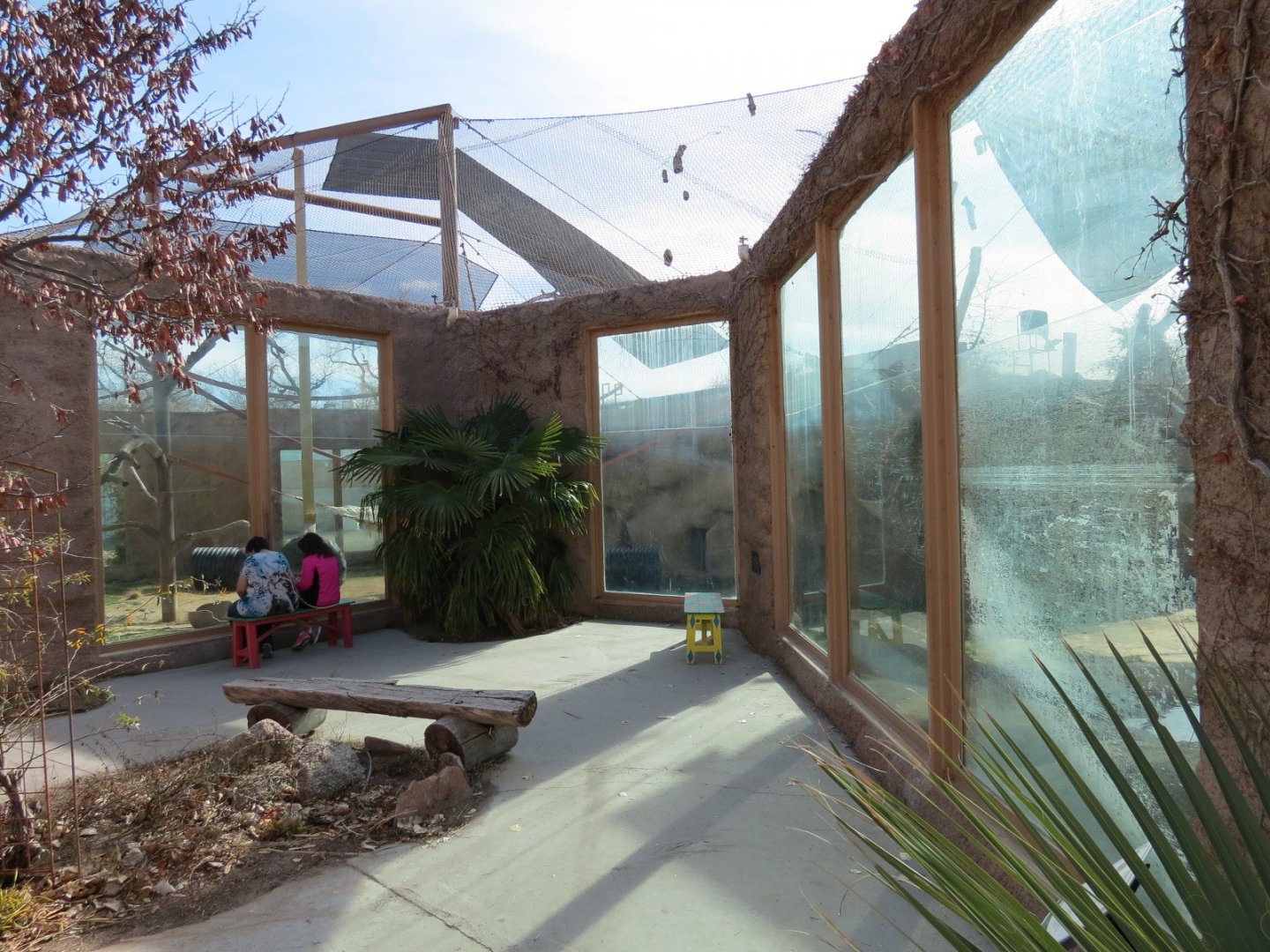 Africa - Chimpanzee Exhibit Viewing Area