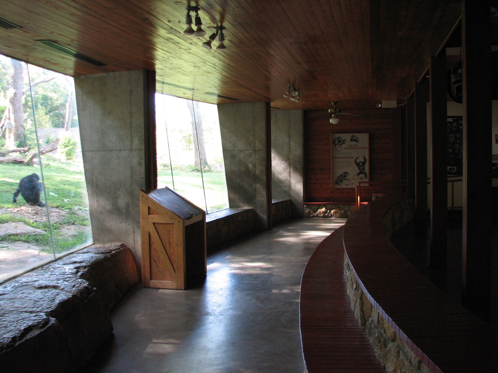 Africa - Chimpanzee Exhibit Viewing Area