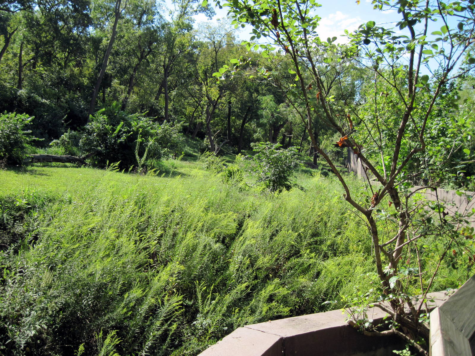 Africa-Chimpanzee Exhibit