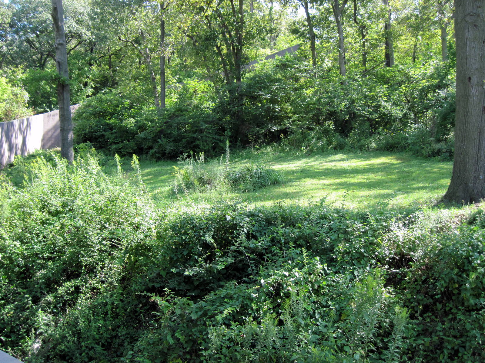 Africa-Chimpanzee Exhibit