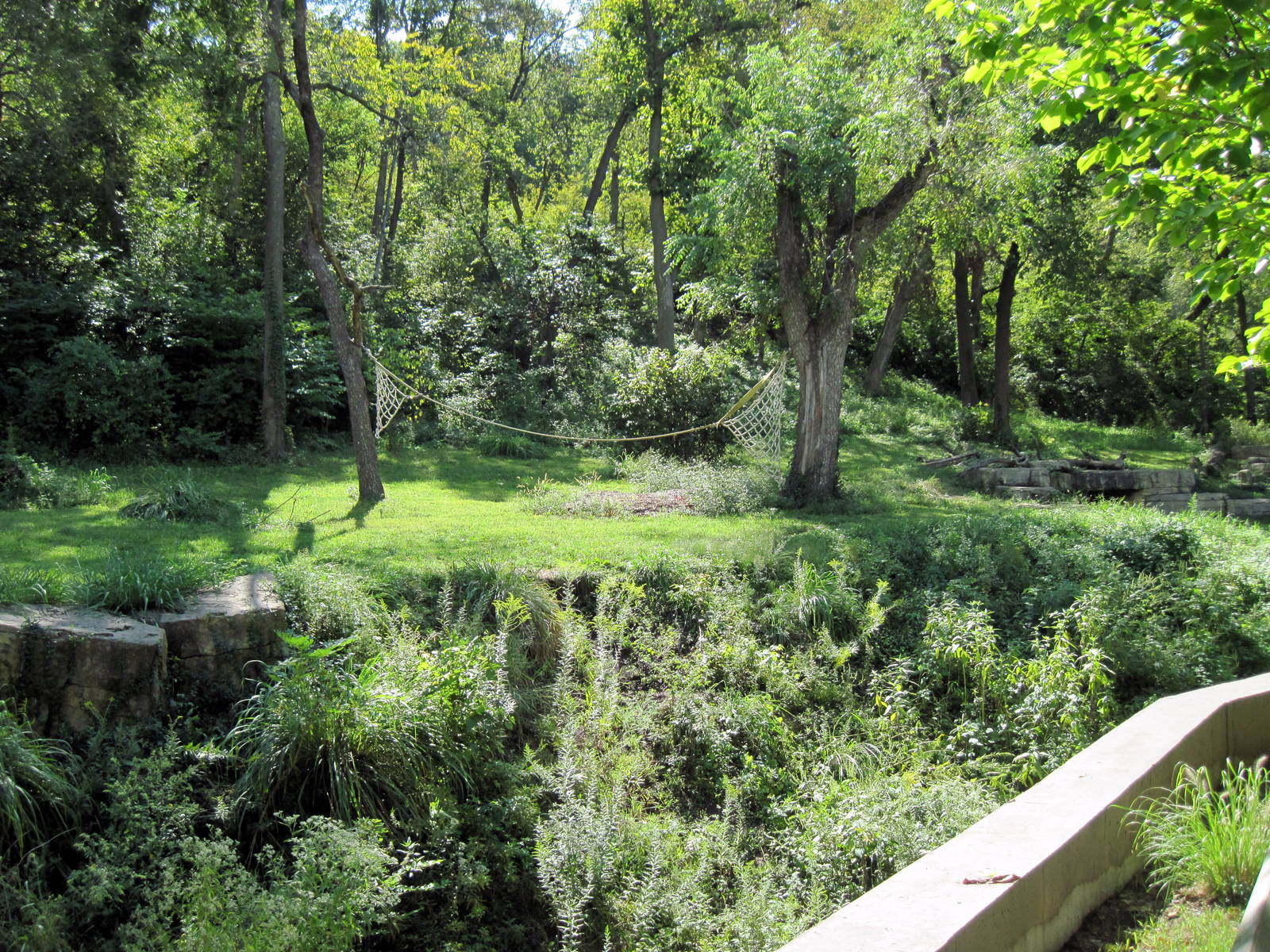 Africa-Chimpanzee Exhibit