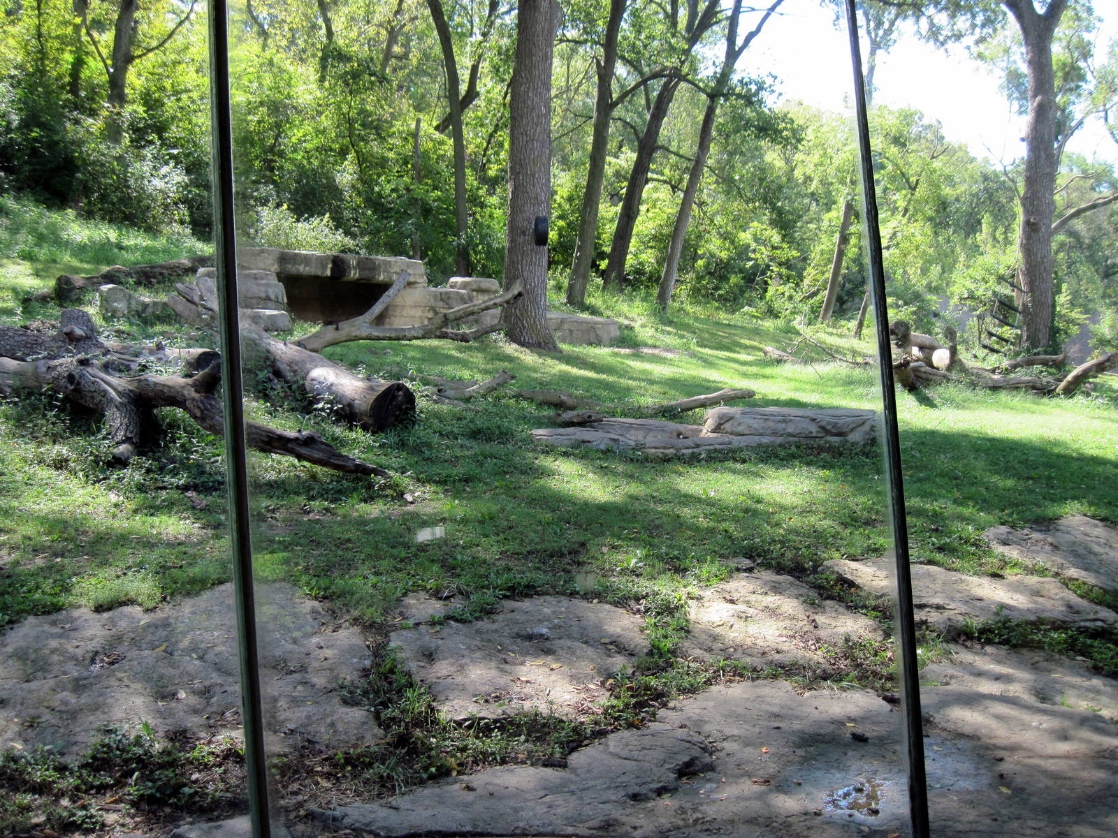 Africa-Chimpanzee Exhibit