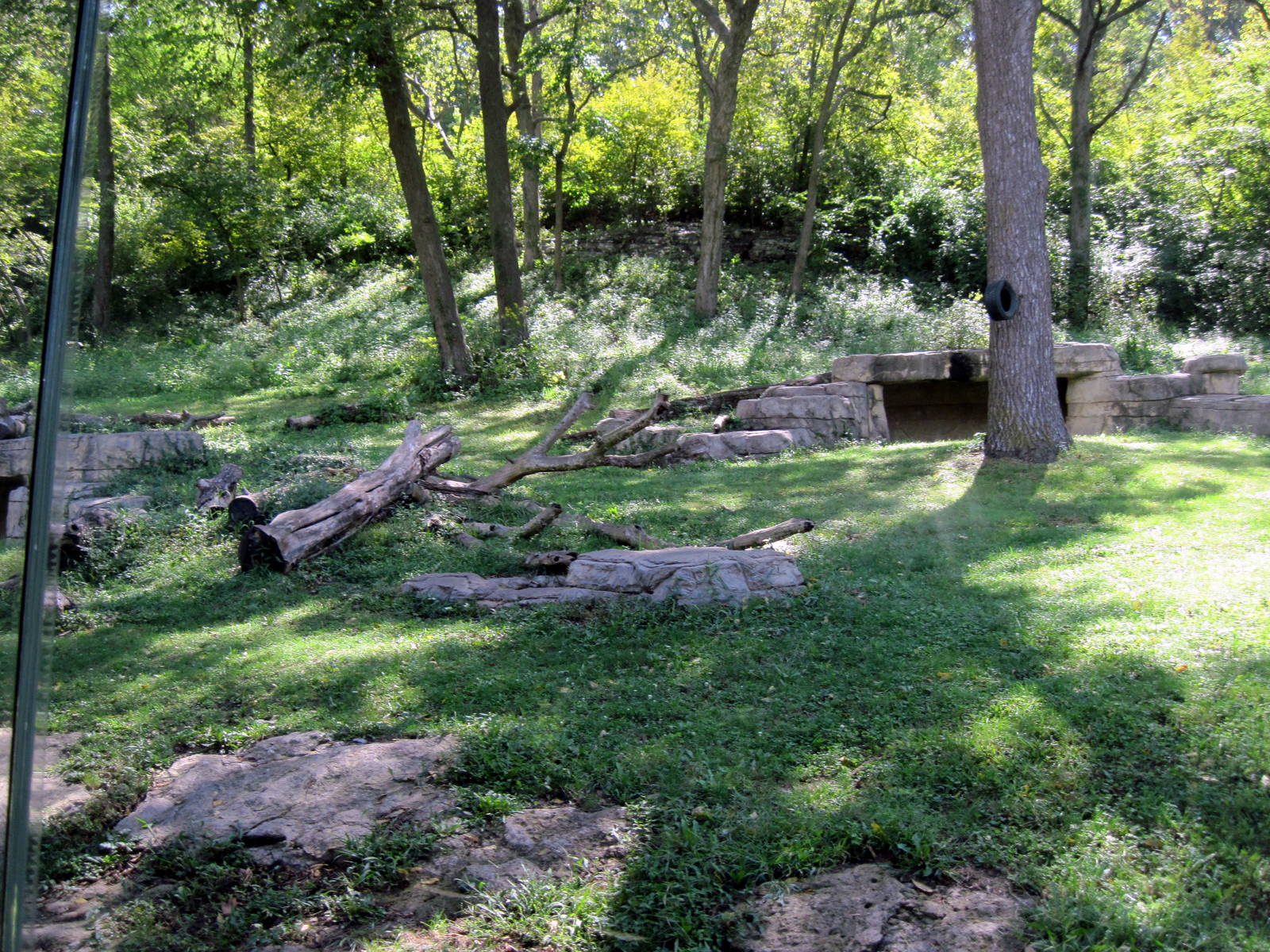 Africa-Chimpanzee Exhibit