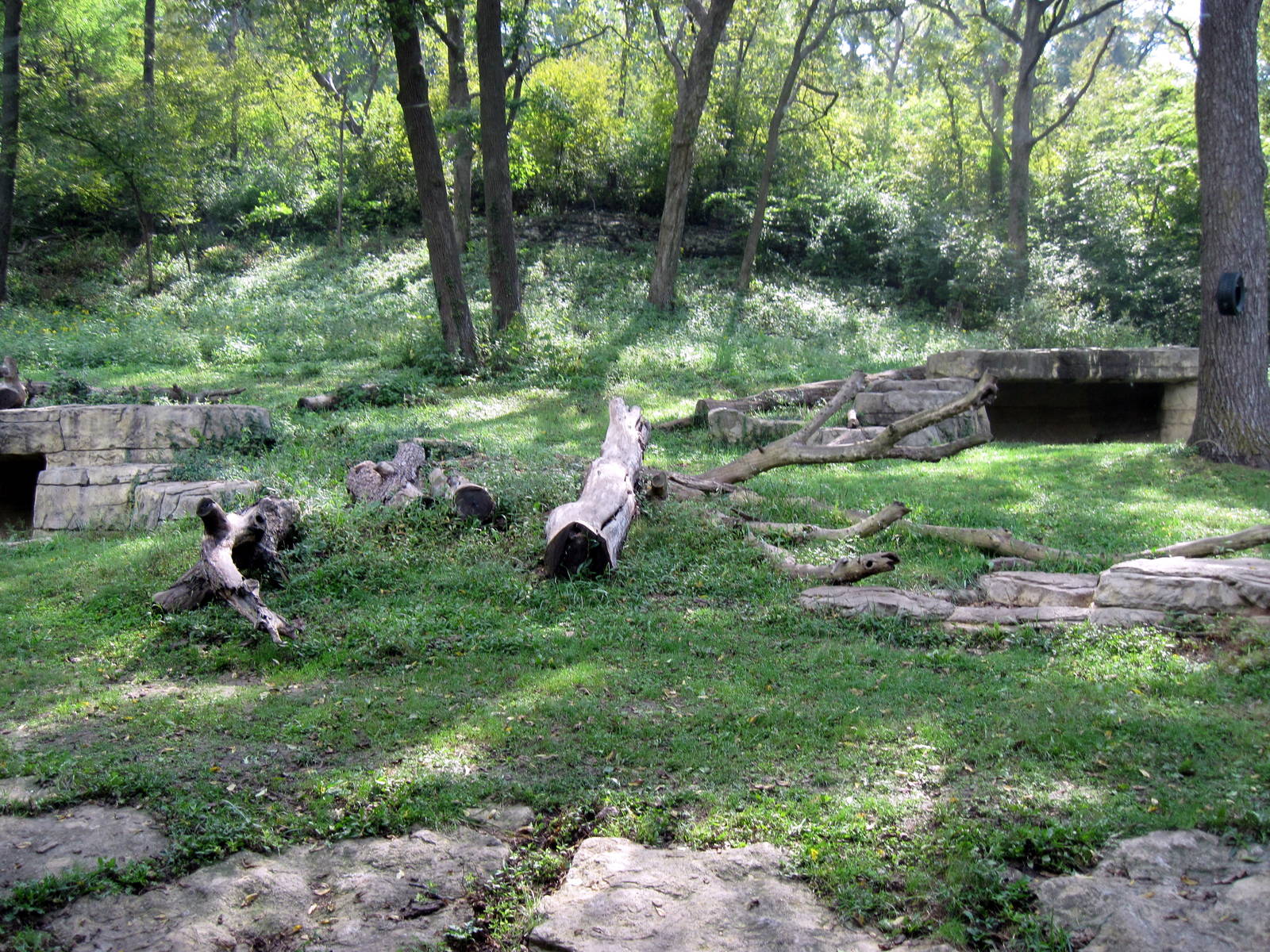 Africa-Chimpanzee Exhibit