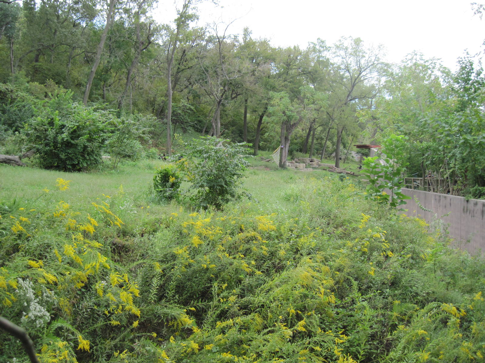 Africa-Chimpanzee Exhibit