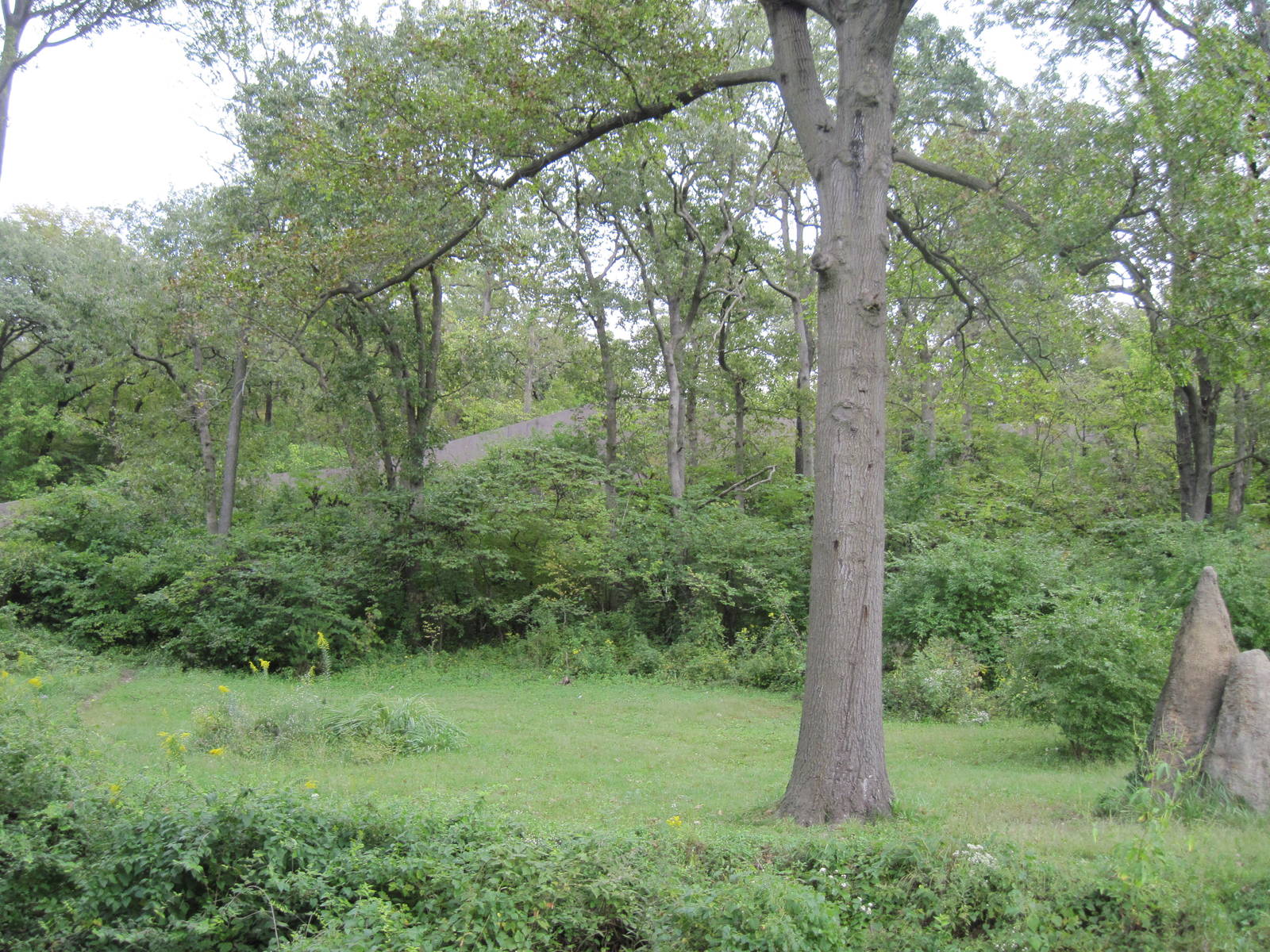 Africa-Chimpanzee Exhibit
