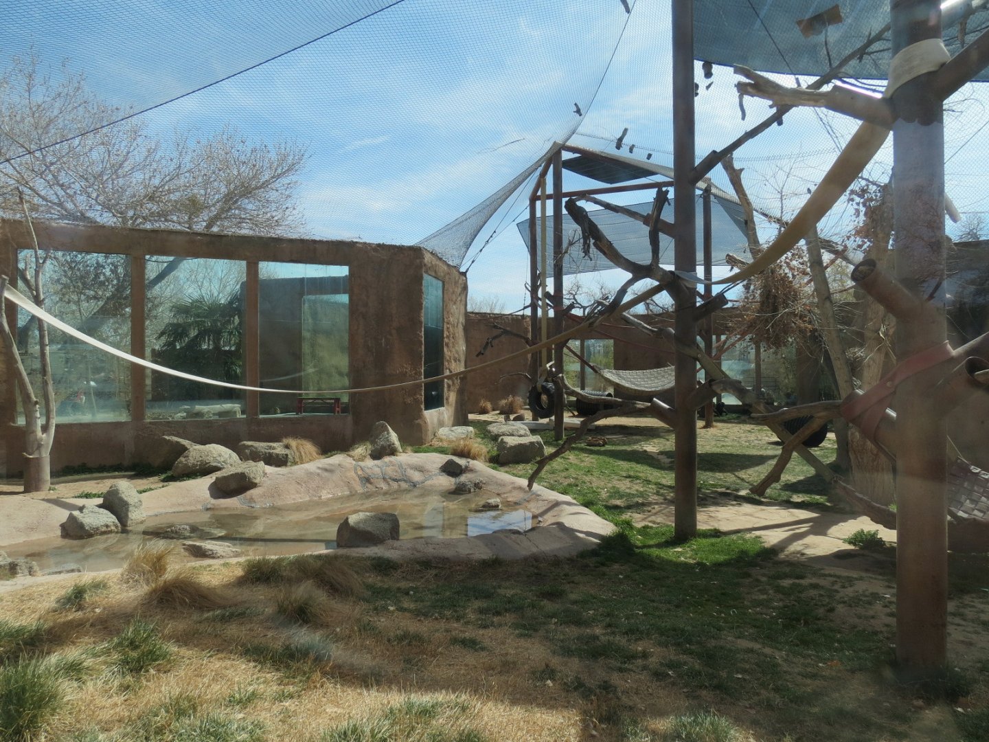 Africa - Chimpanzee Exhibit