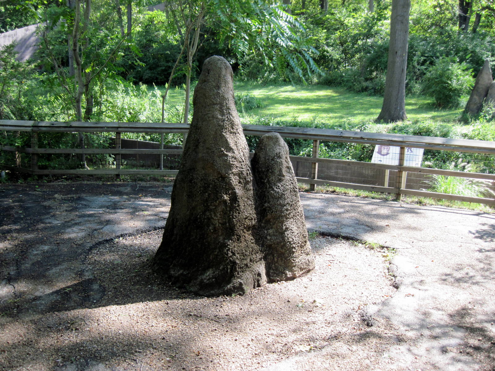 Africa-Chimpanzee Viewing Area