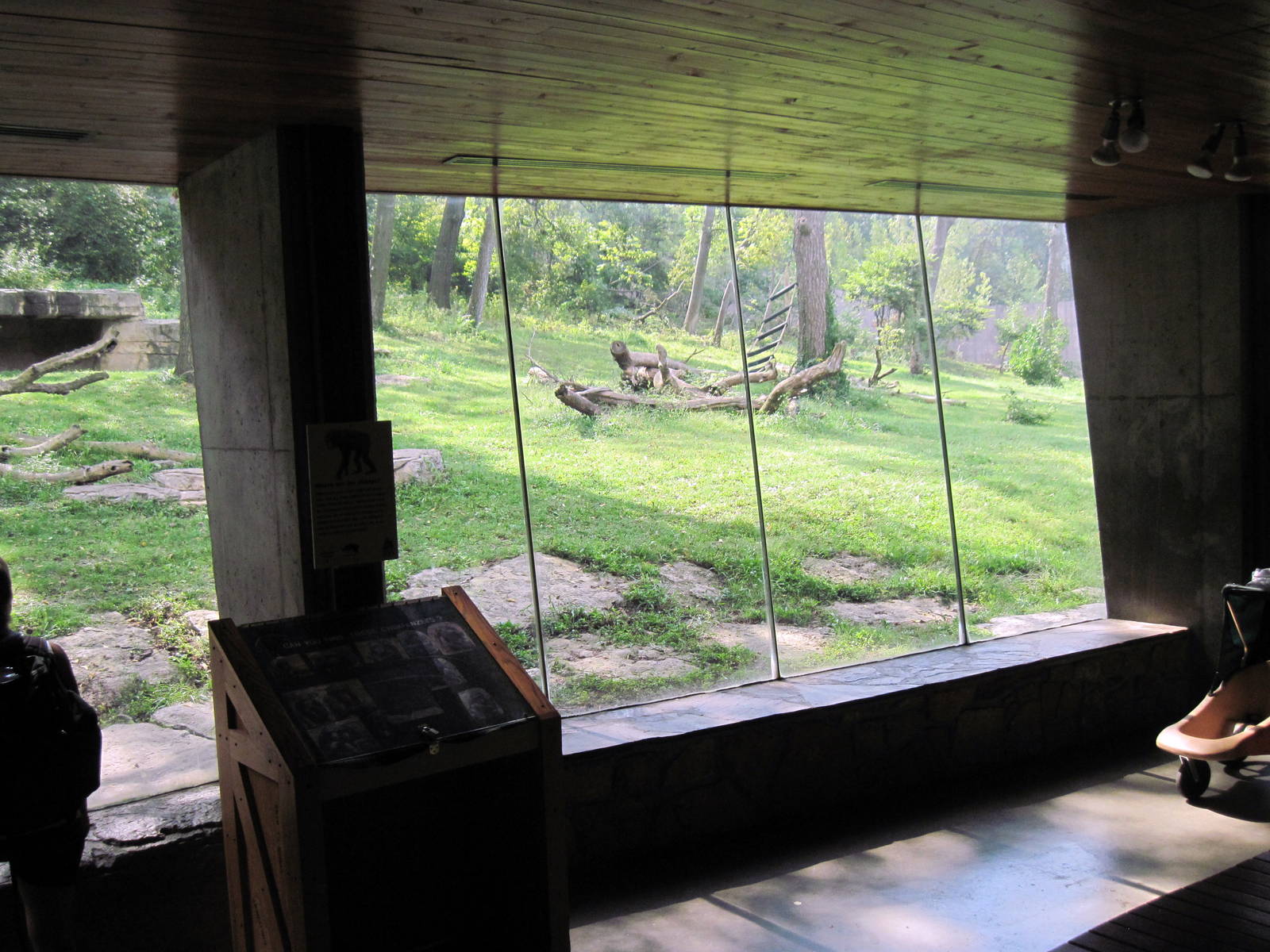 Africa-Chimpanzee Viewing Windows