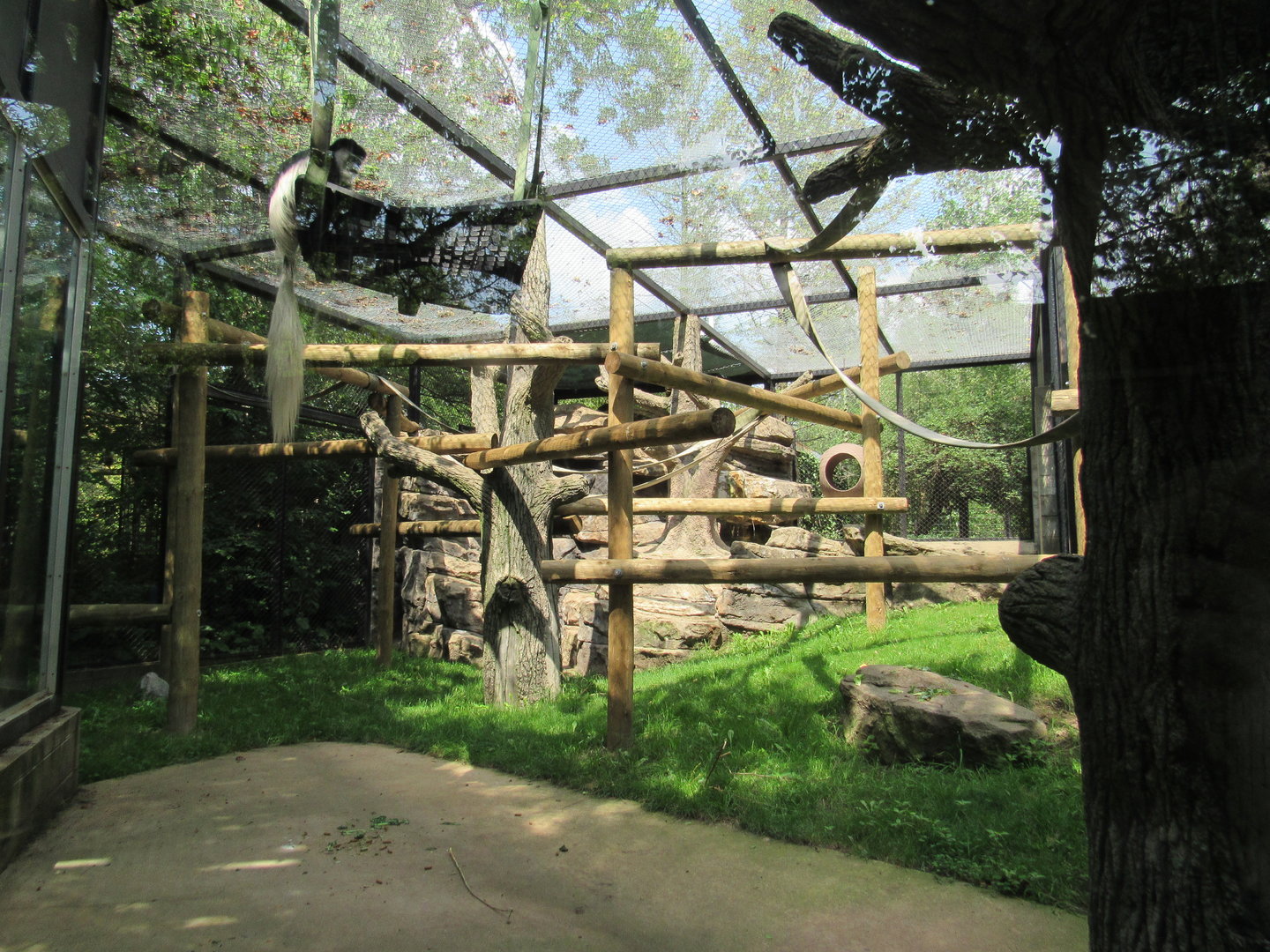 Africa - Colobus Monkey Exhibit