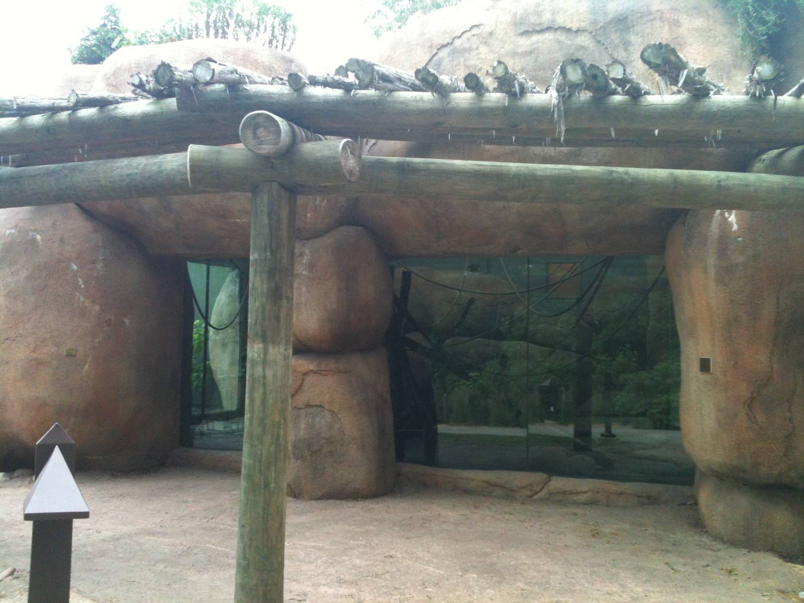 Africa-Colobus Monkey