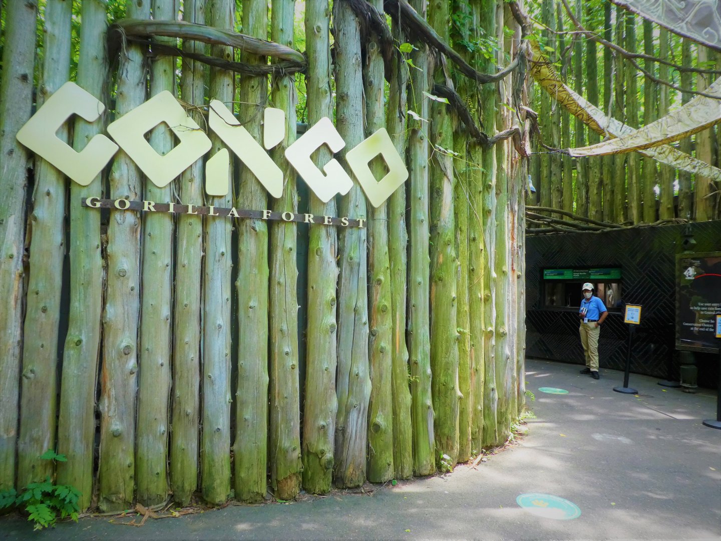 Africa - Congo Gorilla Forest - Entrance