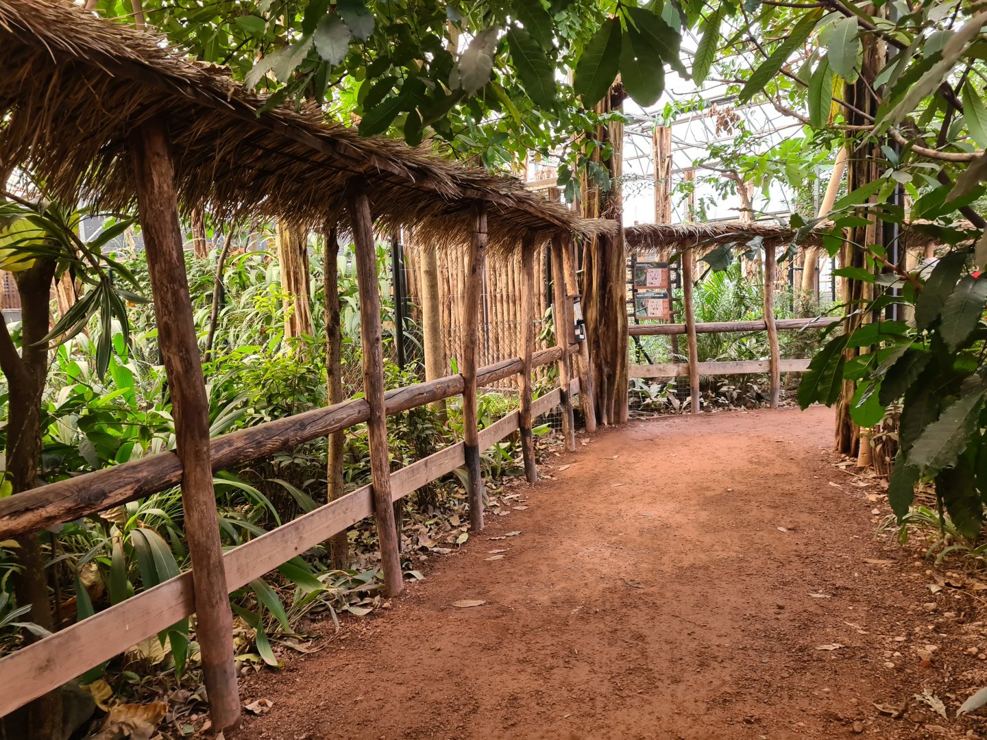 Africa - Congo greenhouse walkway