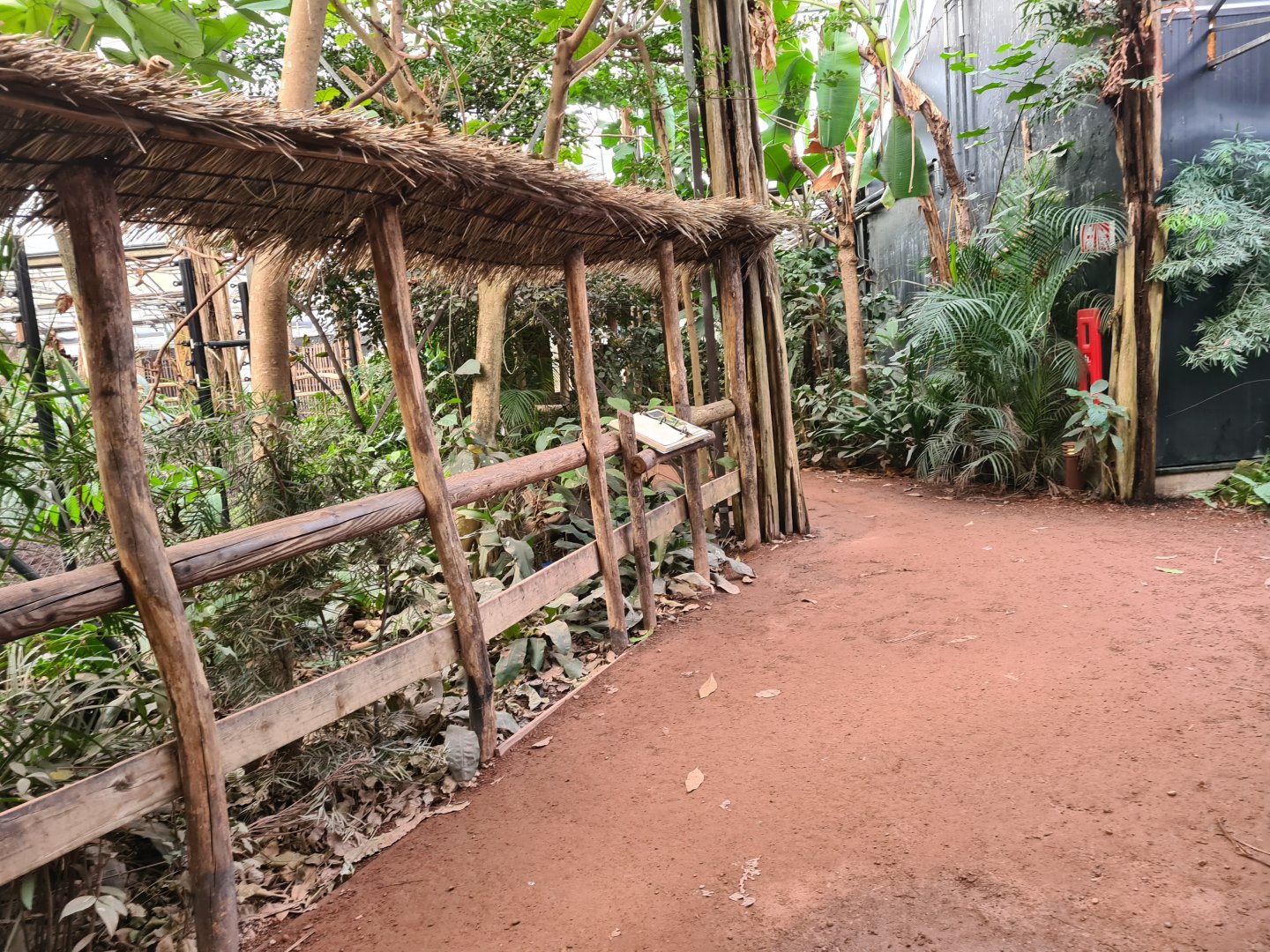 Africa - Congo greenhouse walkway