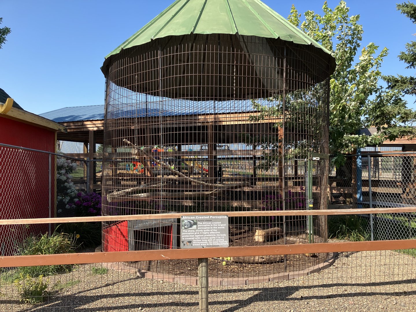 Africa Crested Porcupine/Silvery-Cheeked Hornbill Exhibit
