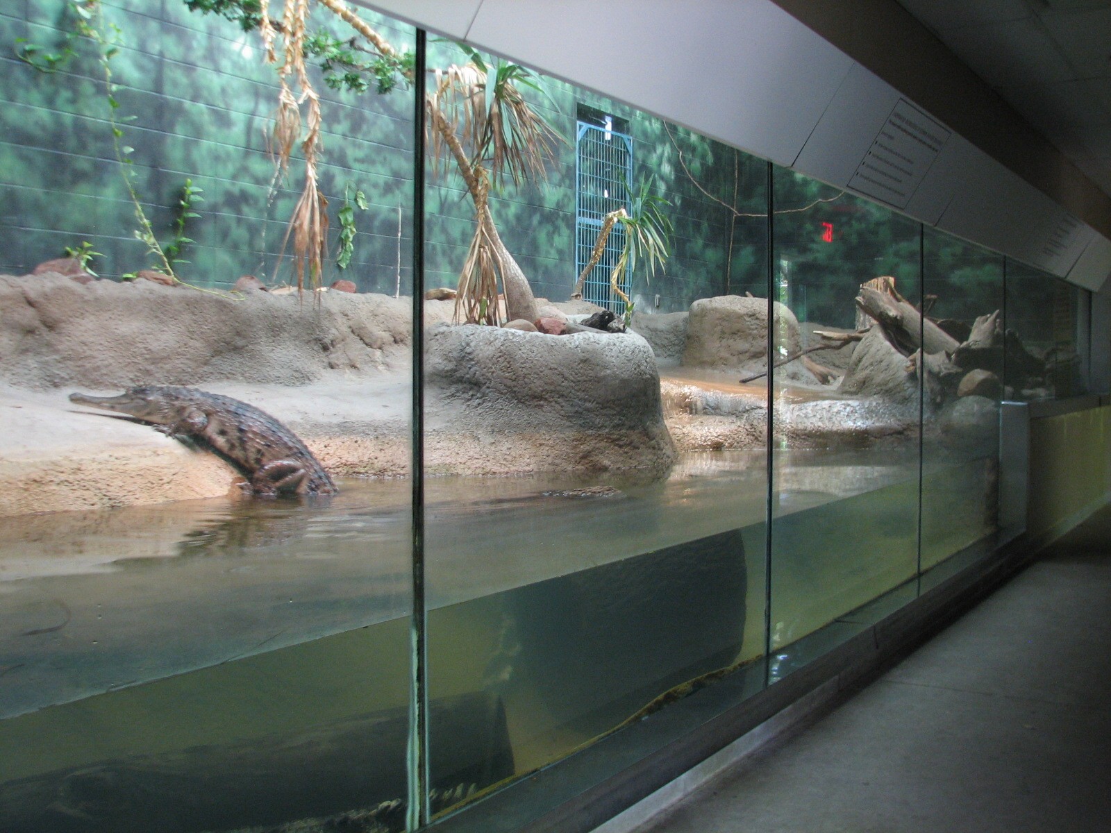 Africa - Crocodile Exhibit